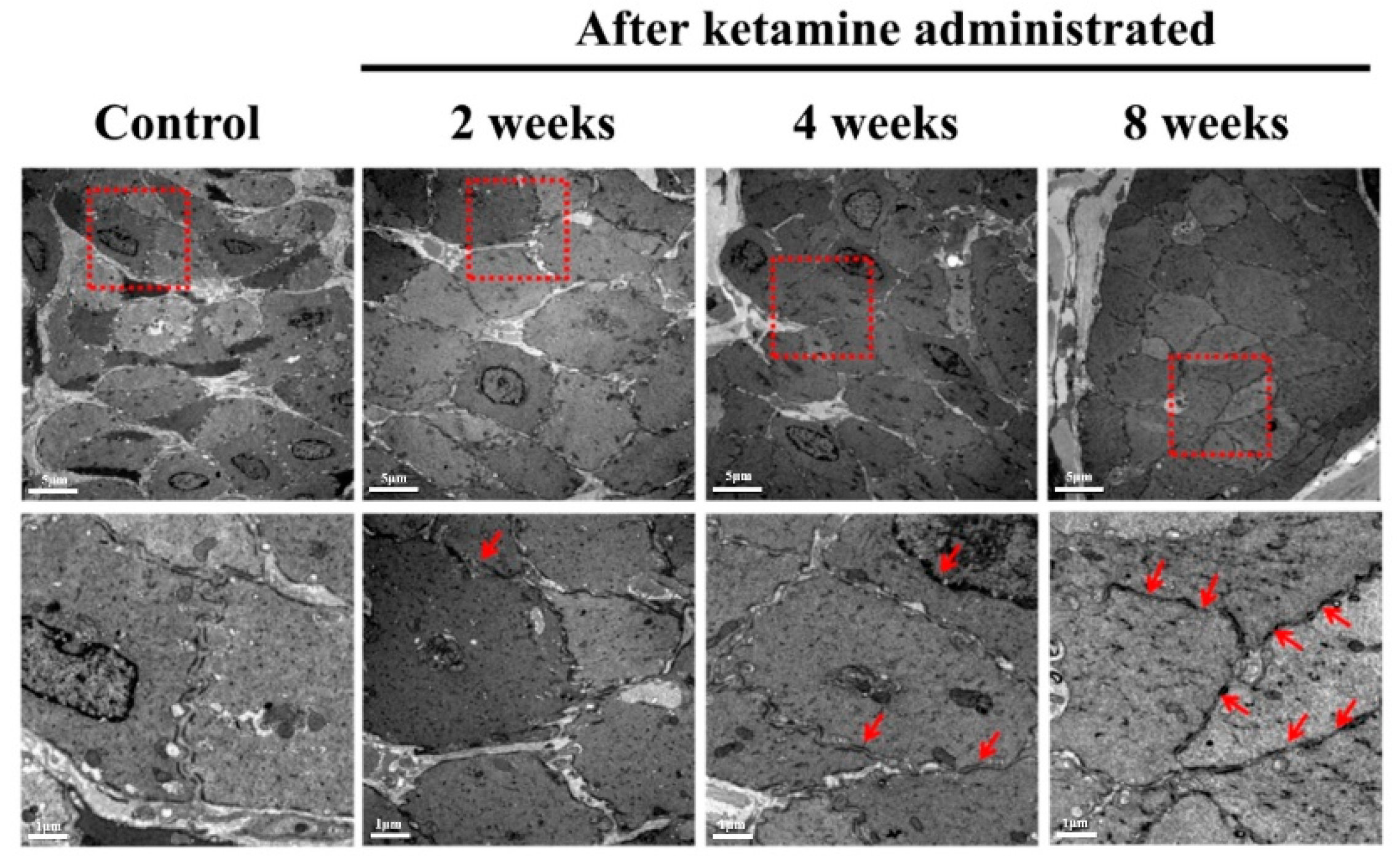 Ijms 23 02194 g005 550