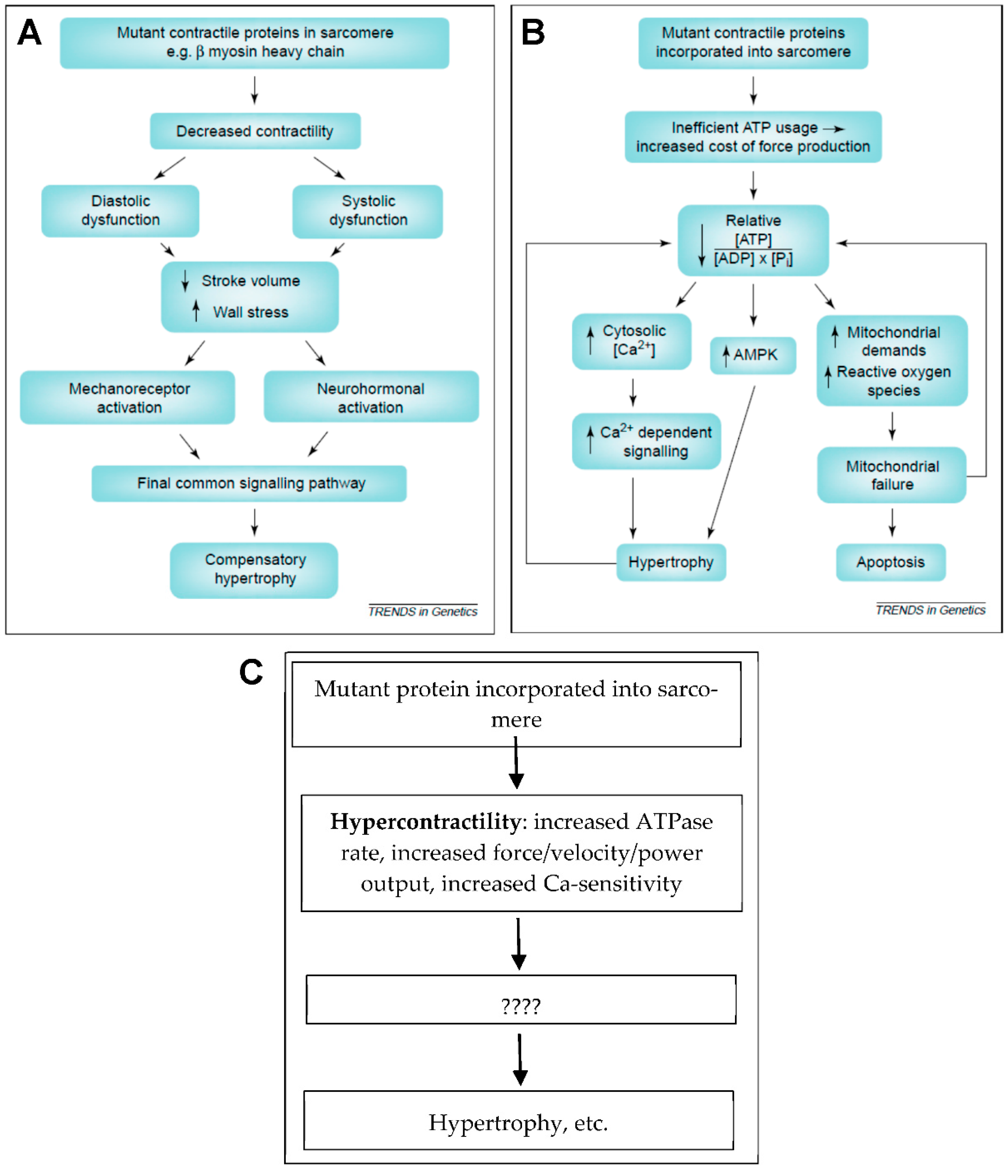 Ijms 23 02195 g005 Ijms 23 02195 g005