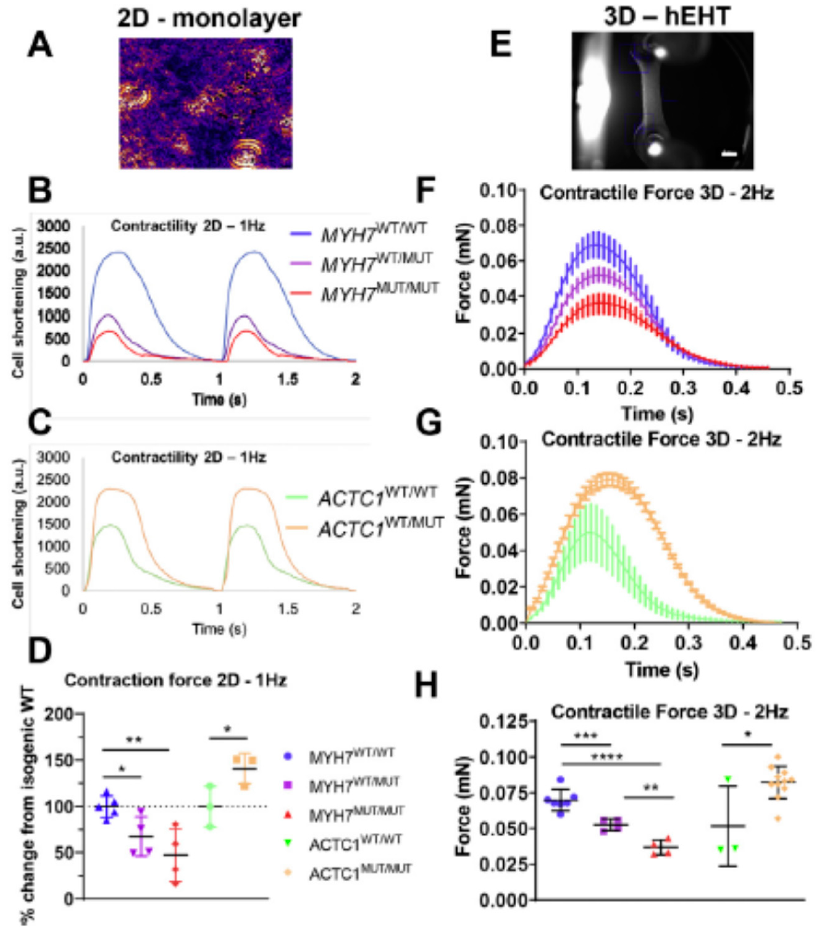 Ijms 23 02195 g006 Ijms 23 02195 g006