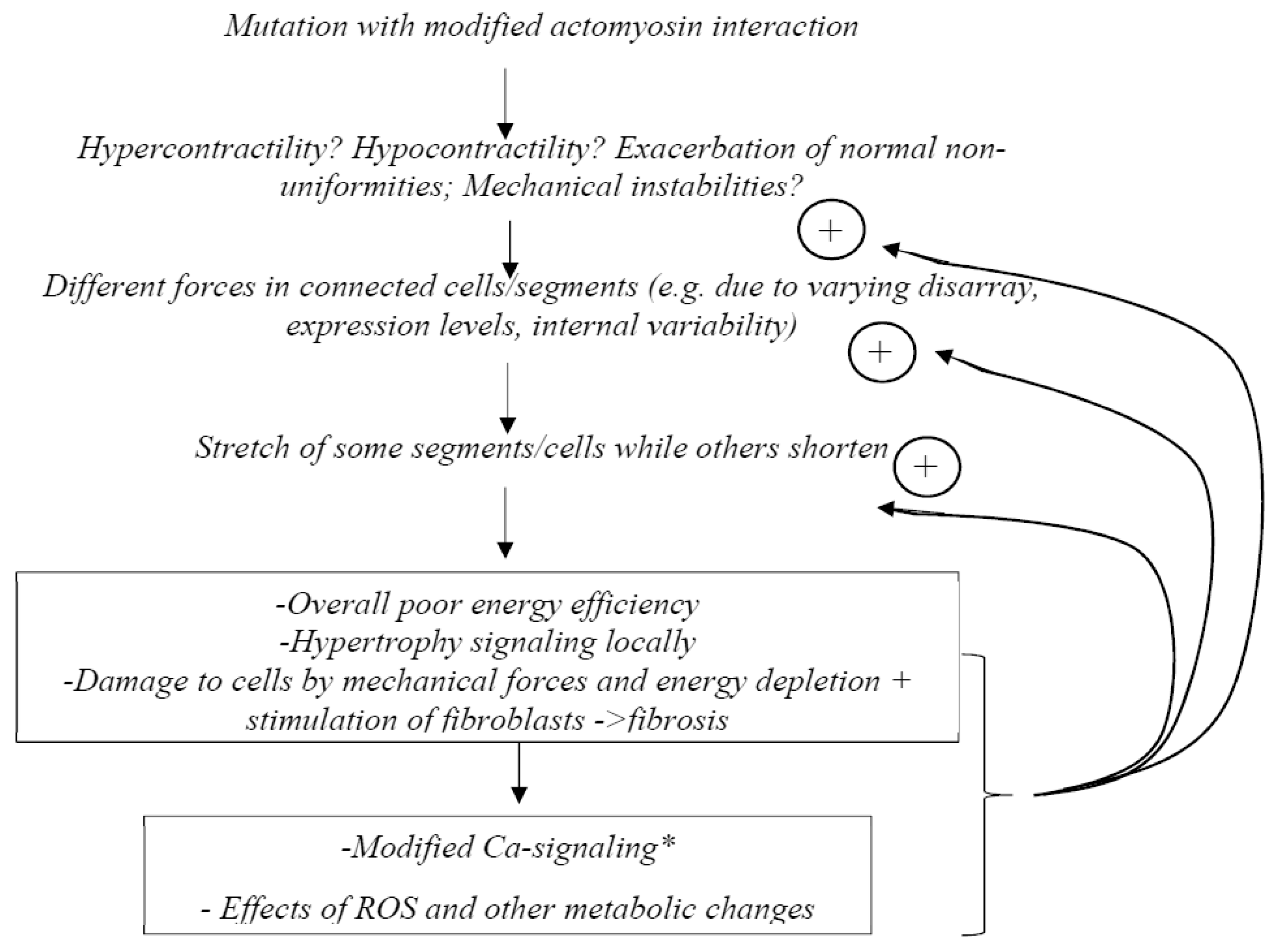 Ijms 23 02195 g008 Ijms 23 02195 g008