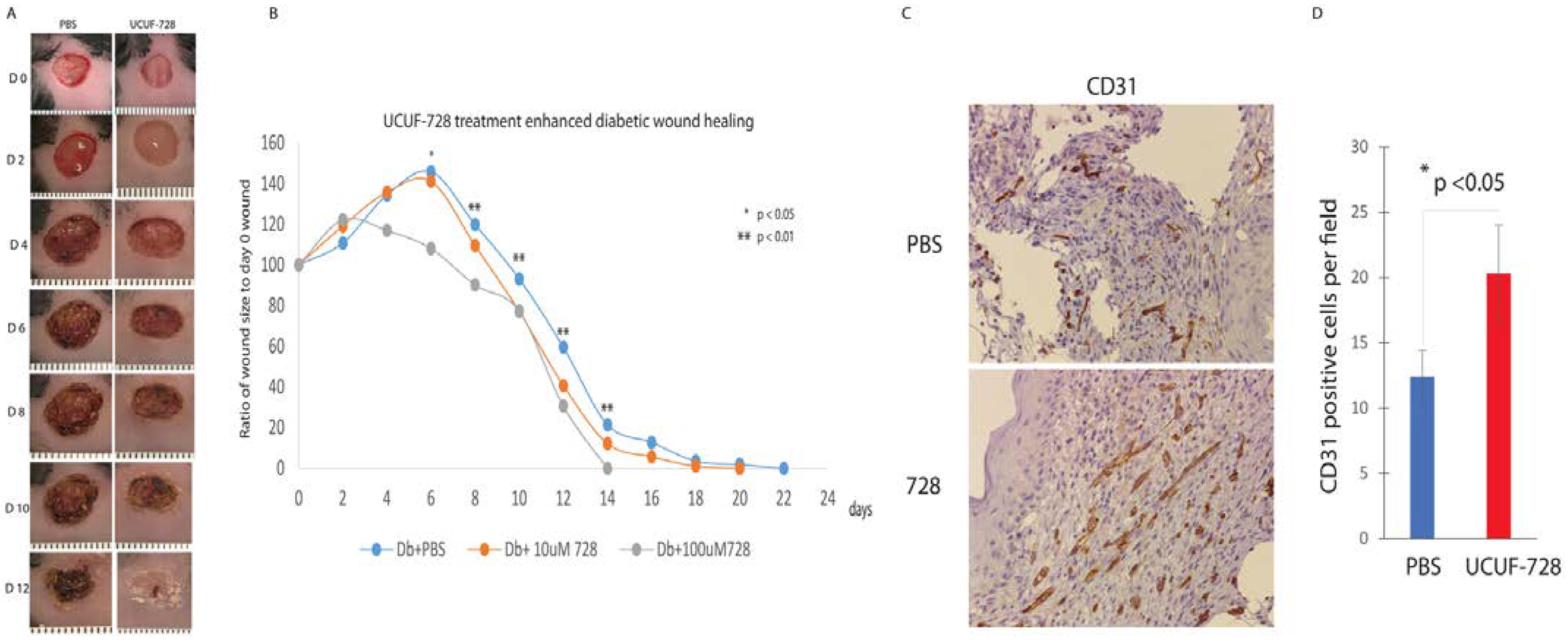 Ijms 23 02196 g004 550