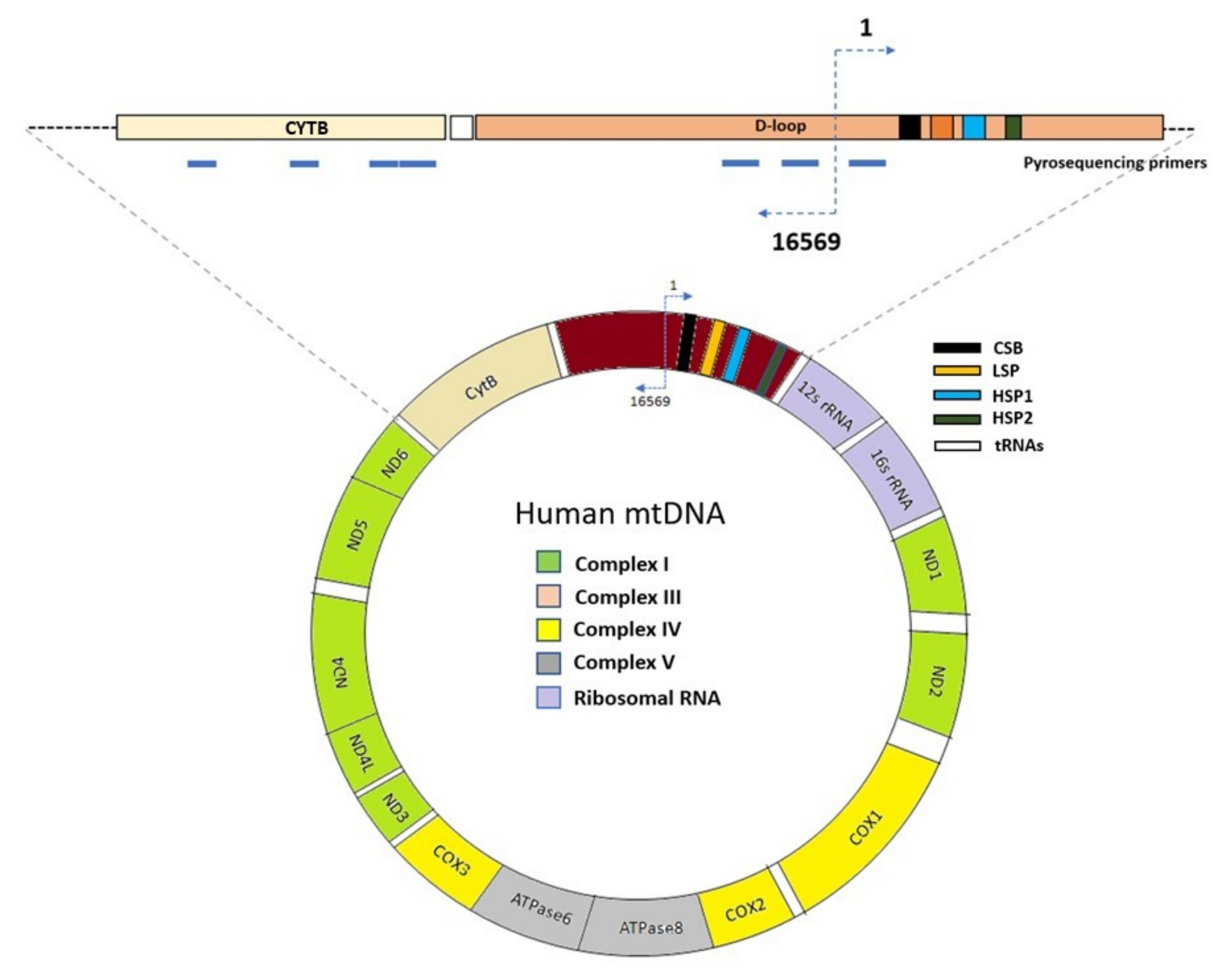 Ijms 23 02197 g009 550