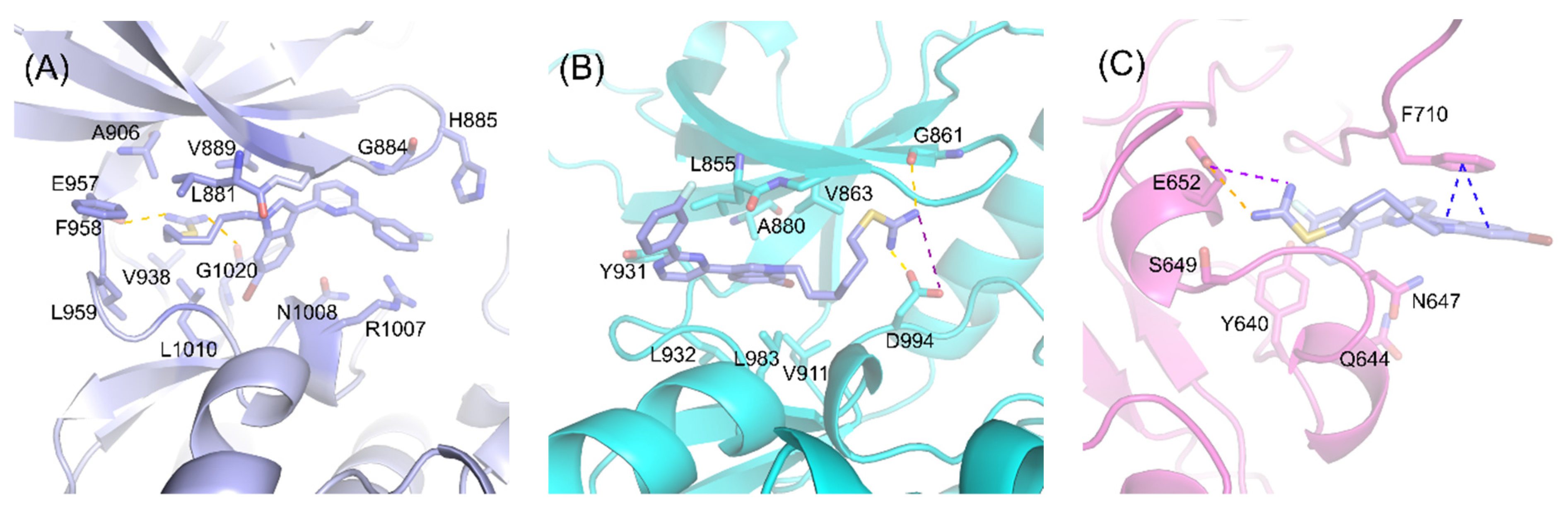 Ijms 23 02199 g002 550