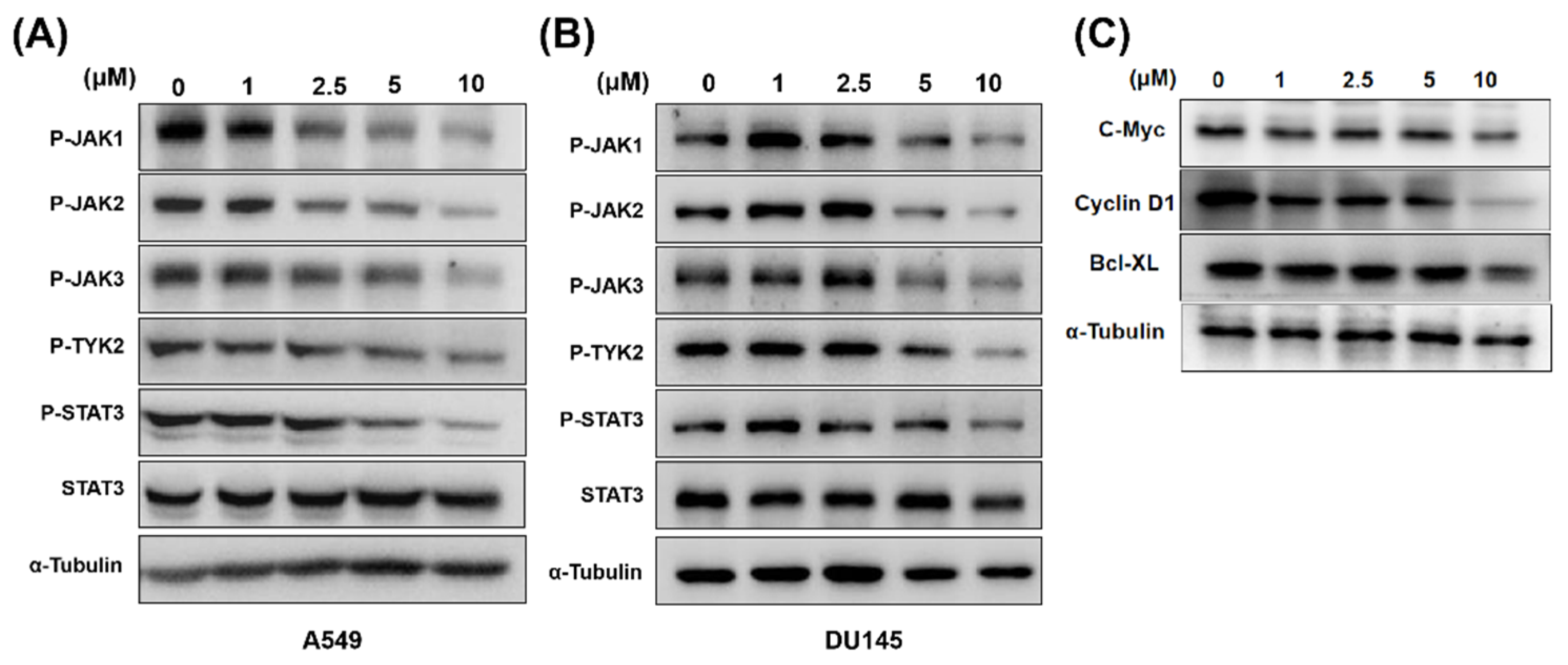 Ijms 23 02199 g003 550
