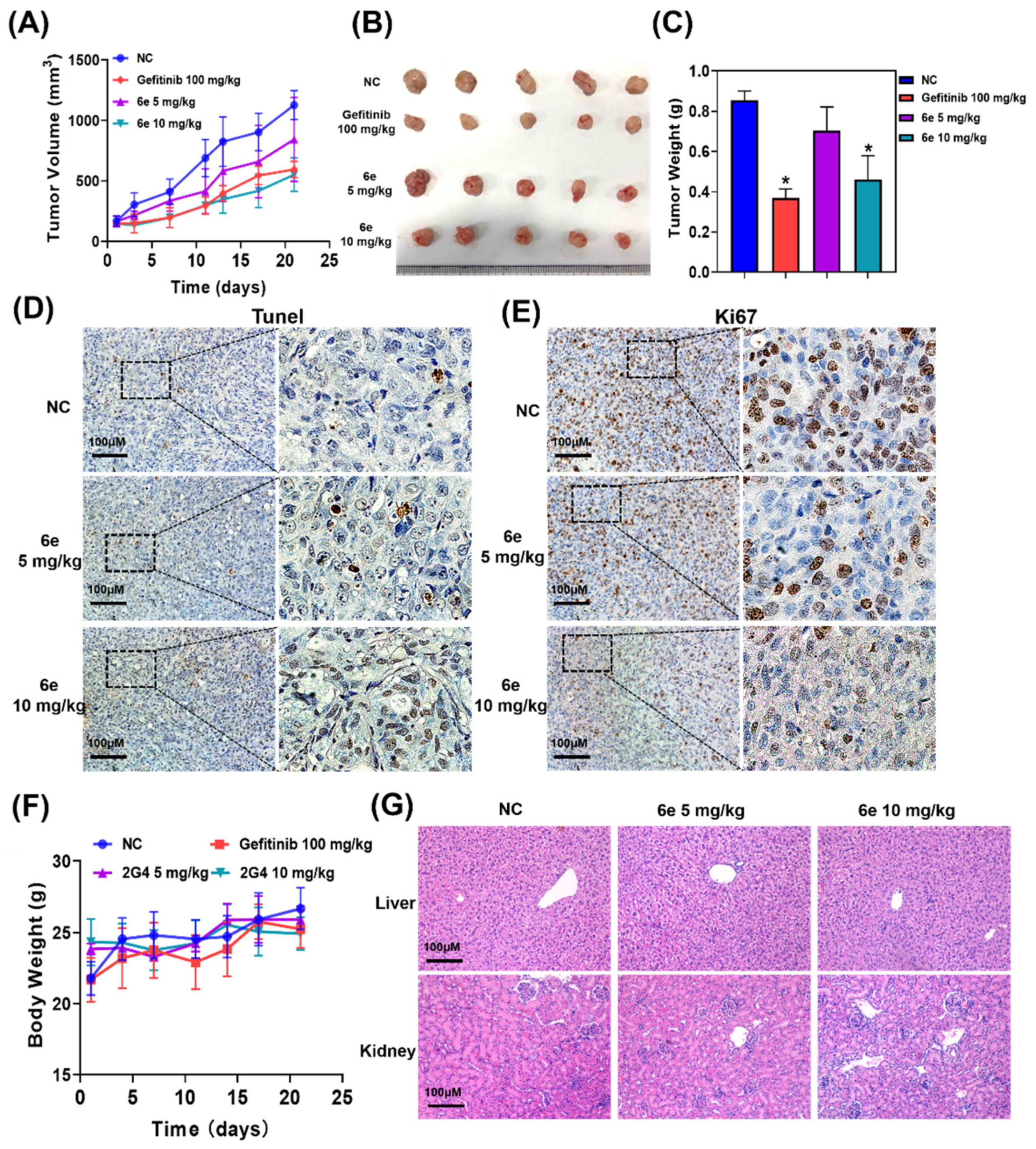Ijms 23 02199 g004 550