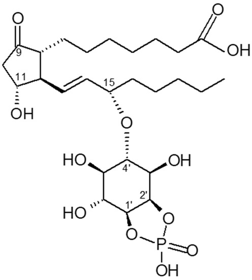Metformin’s Mechanism of Action Is Stimulation of the 