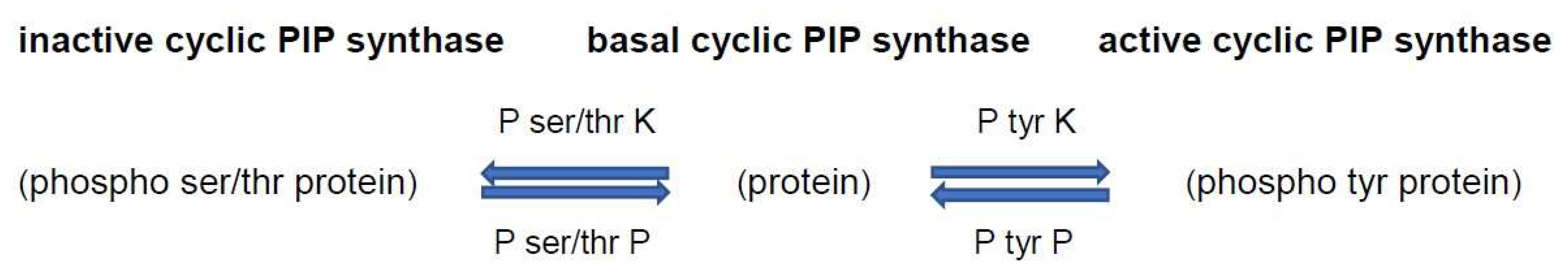 Ijms 23 02200 g002 550