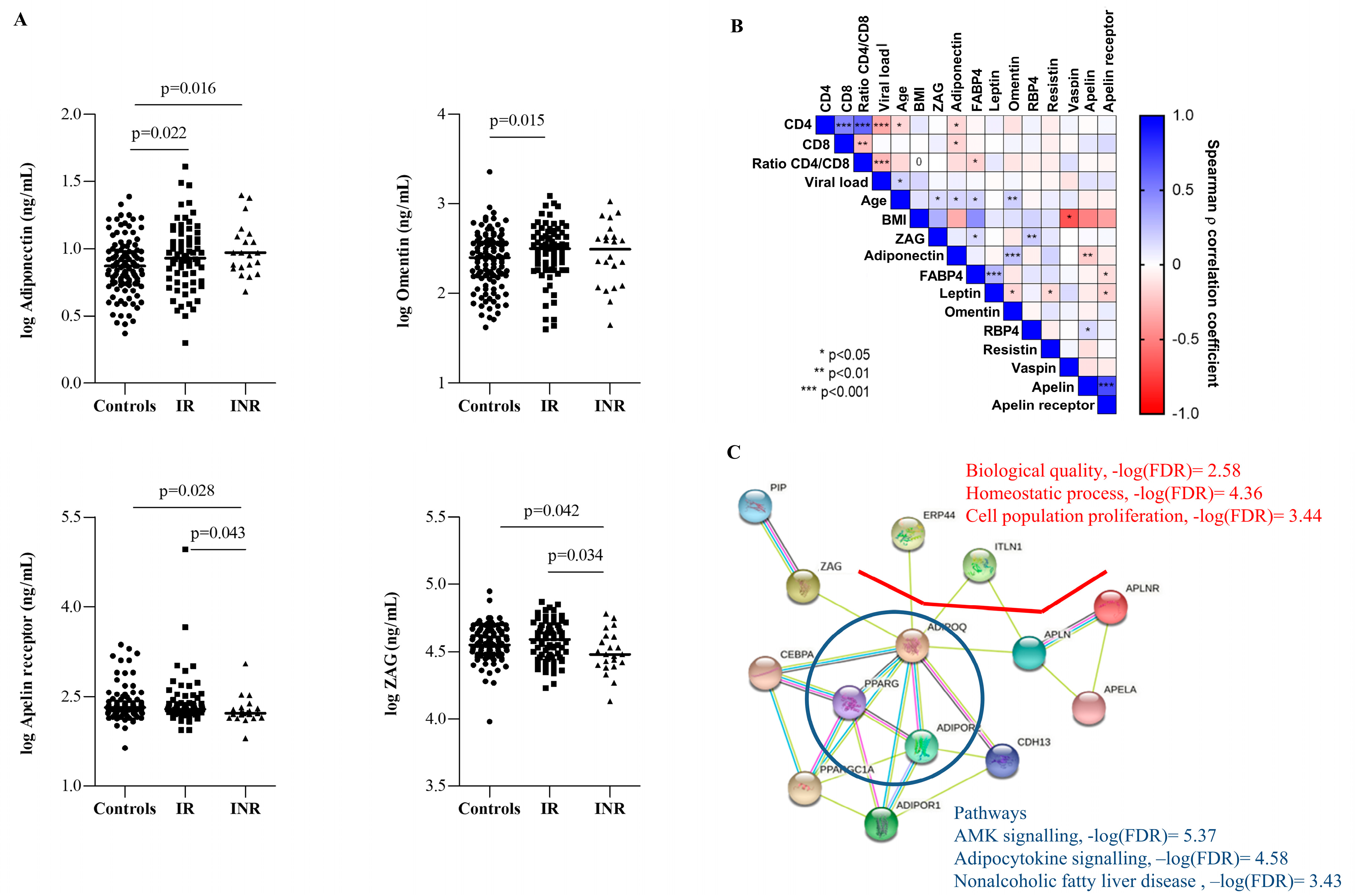 Ijms 23 02202 g002 550