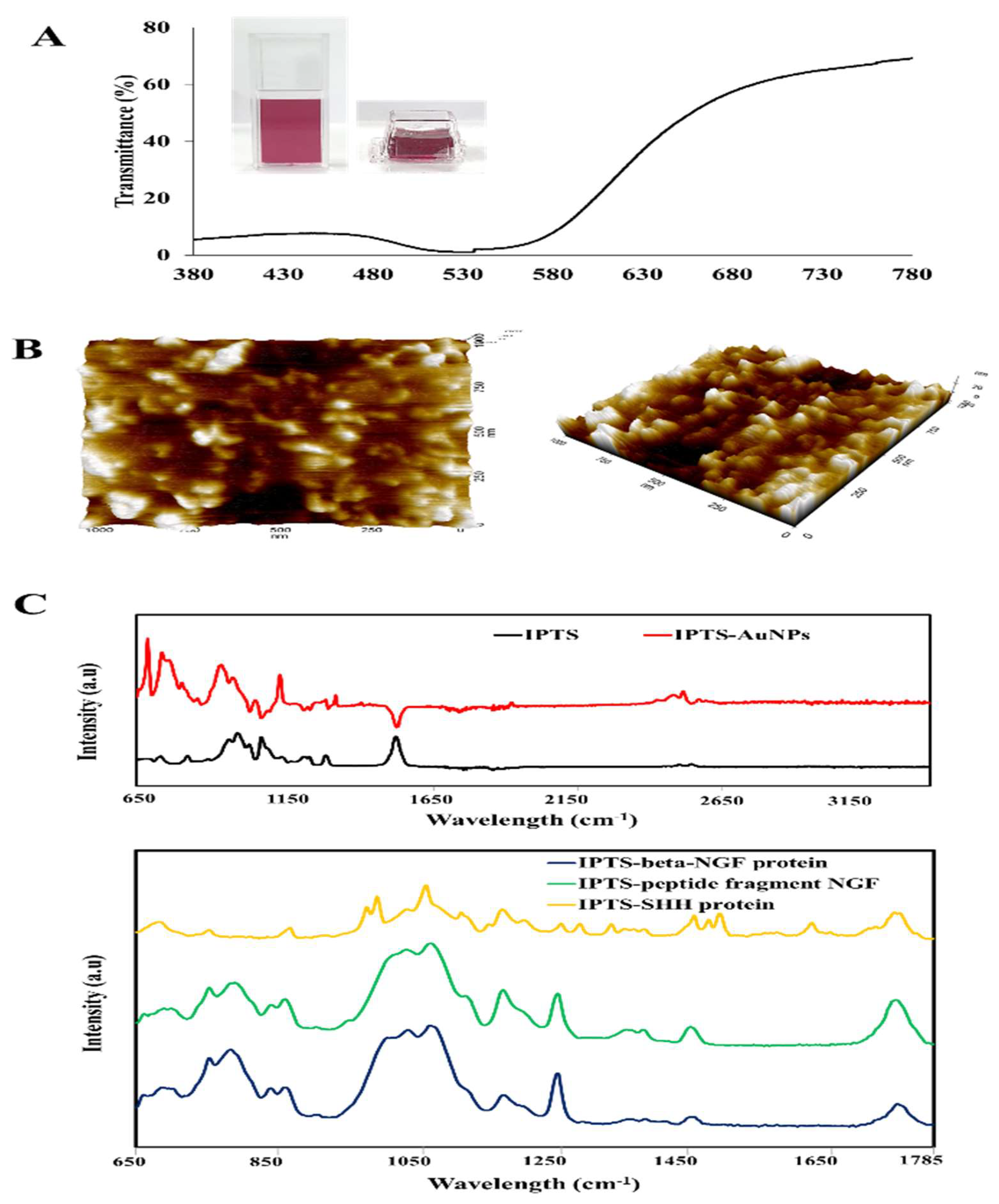 Ijms 23 02204 g003 550