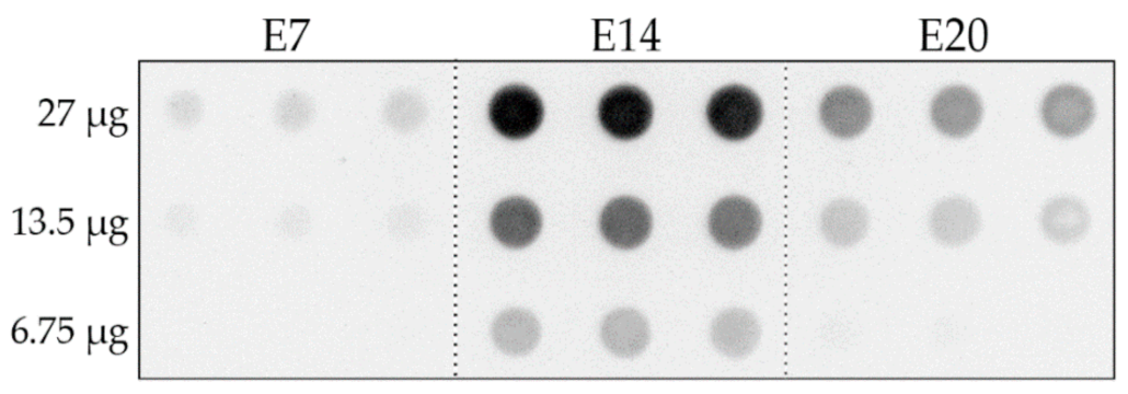 Ijms 23 02208 g001 Ijms 23 02208 g001