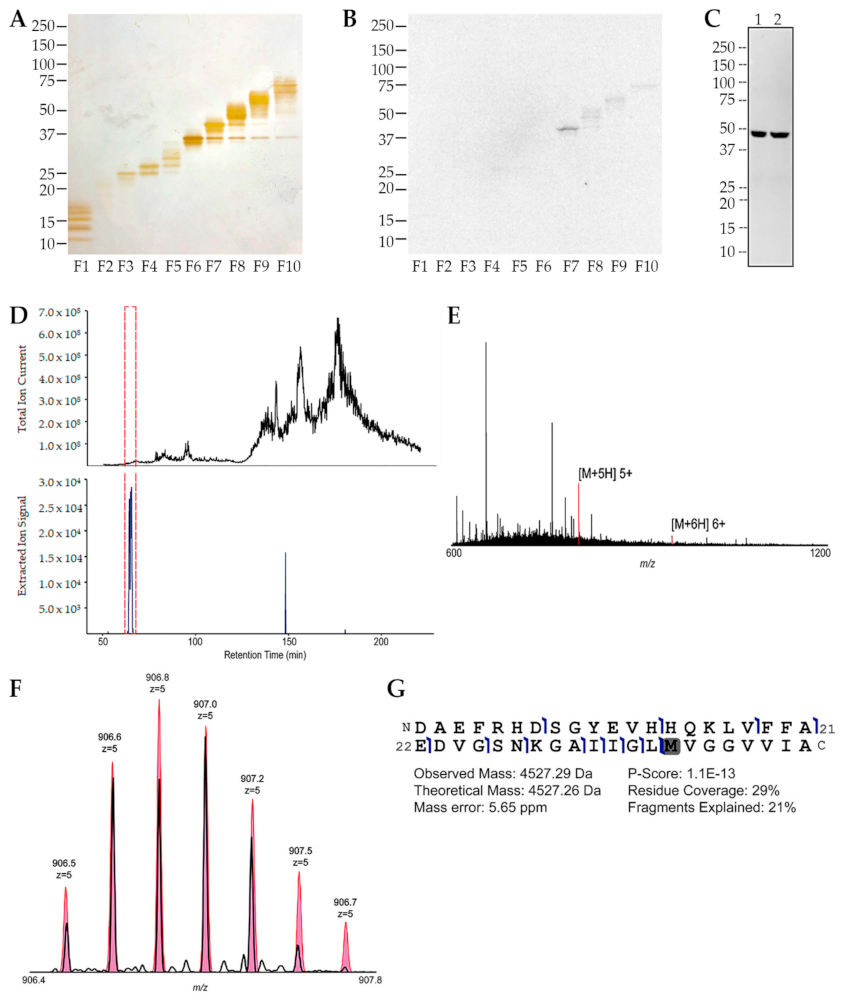 Ijms 23 02208 g003 Ijms 23 02208 g003