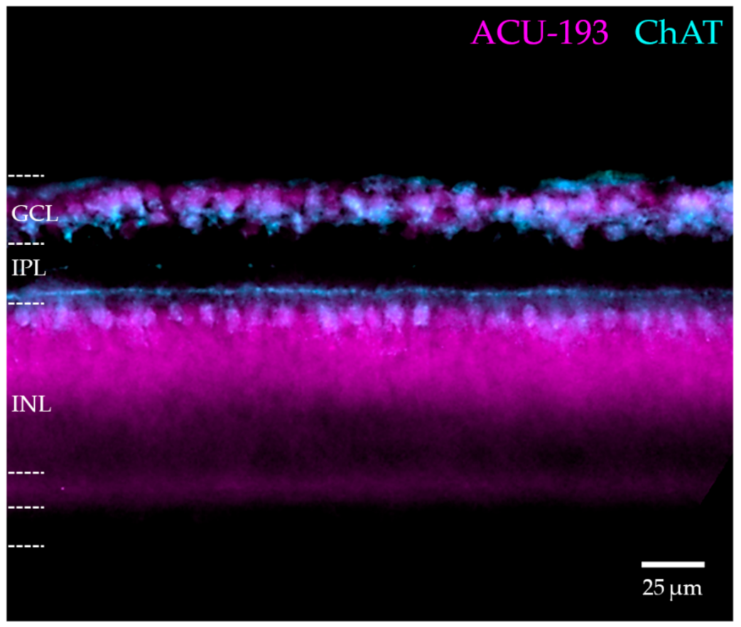 Ijms 23 02208 g006 Ijms 23 02208 g006