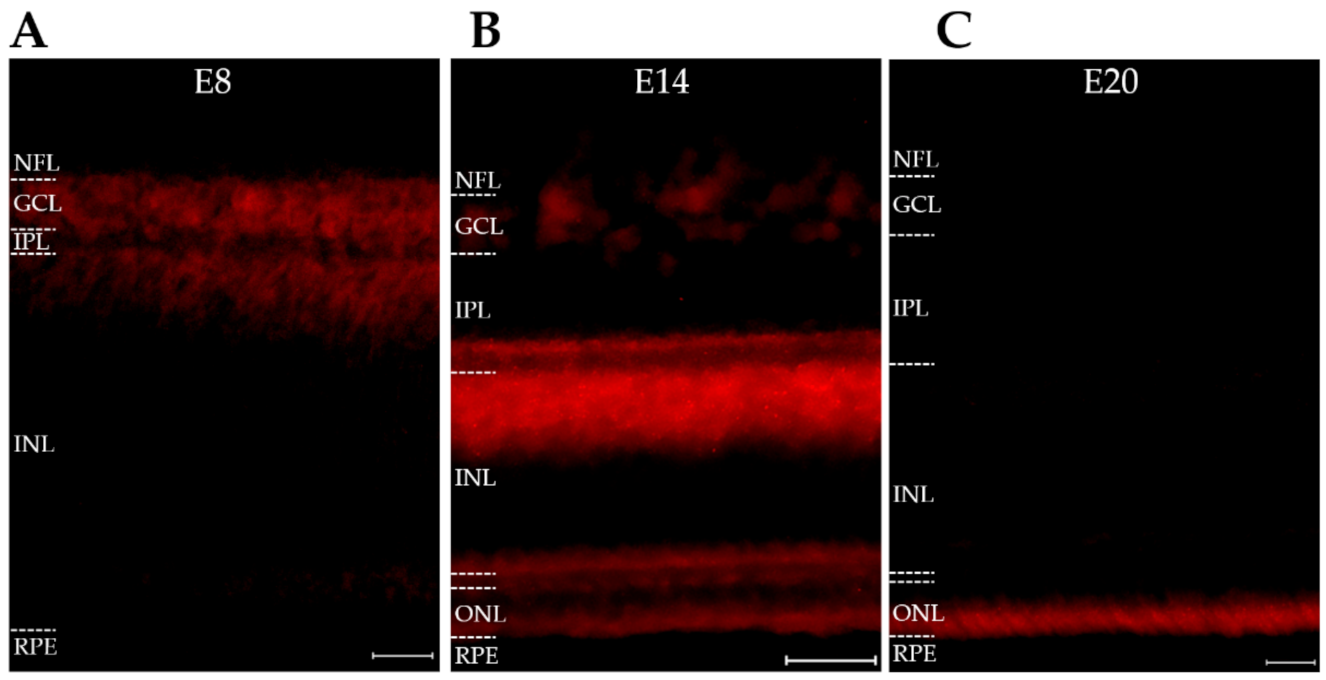 Ijms 23 02208 g007 Ijms 23 02208 g007