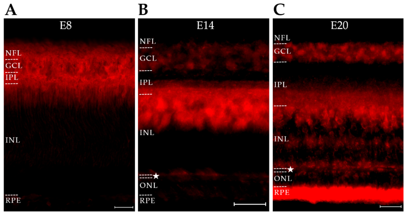 Ijms 23 02208 g008 Ijms 23 02208 g008