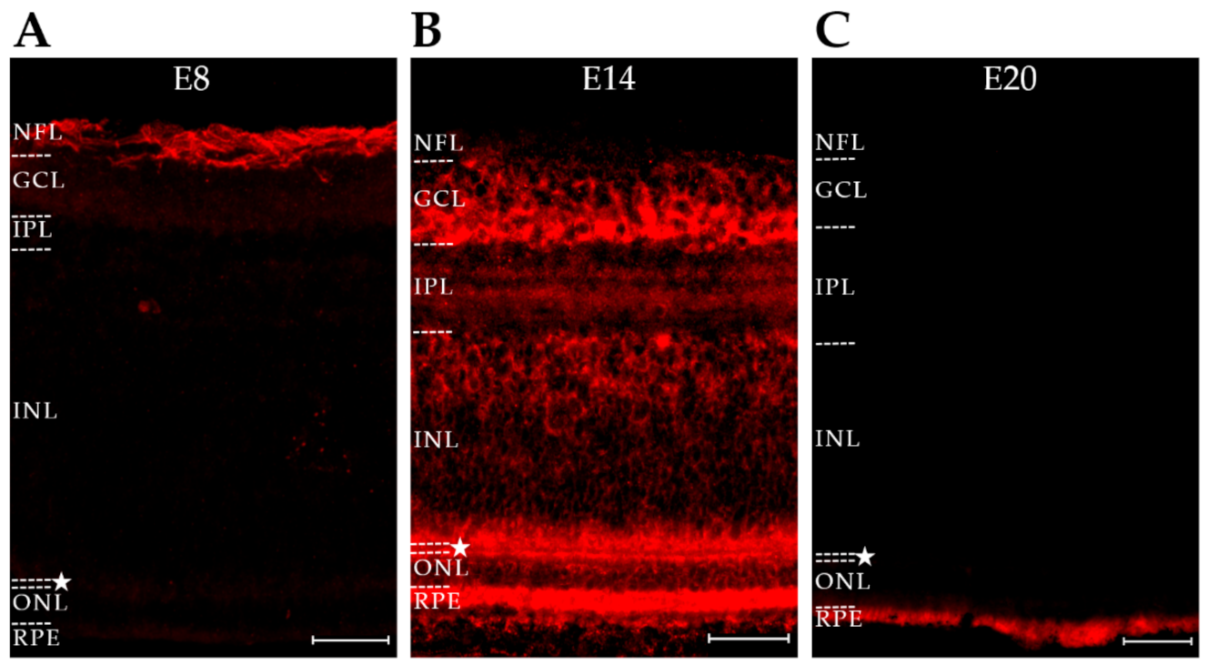 Ijms 23 02208 g009 Ijms 23 02208 g009