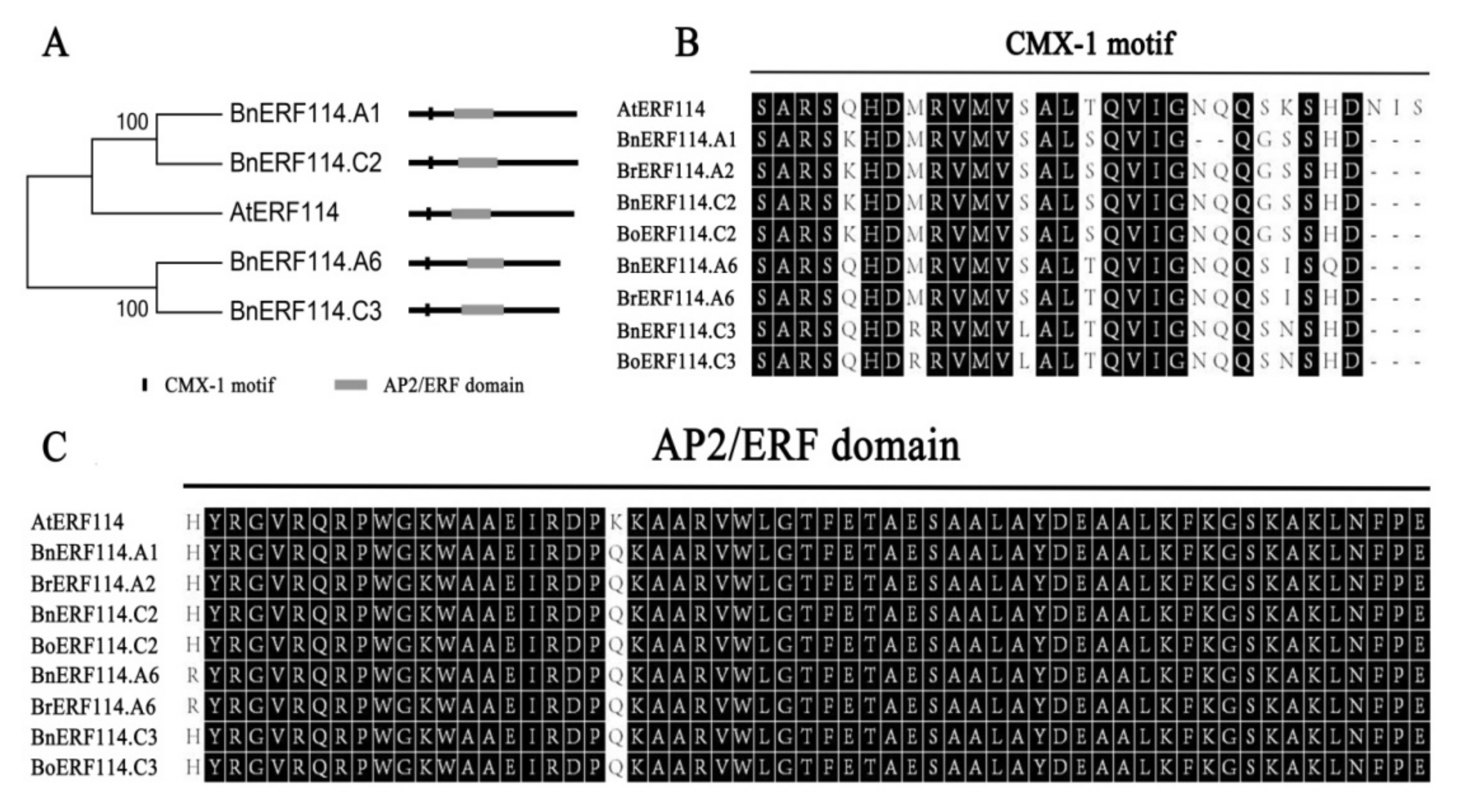 Ijms 23 02210 g001 550
