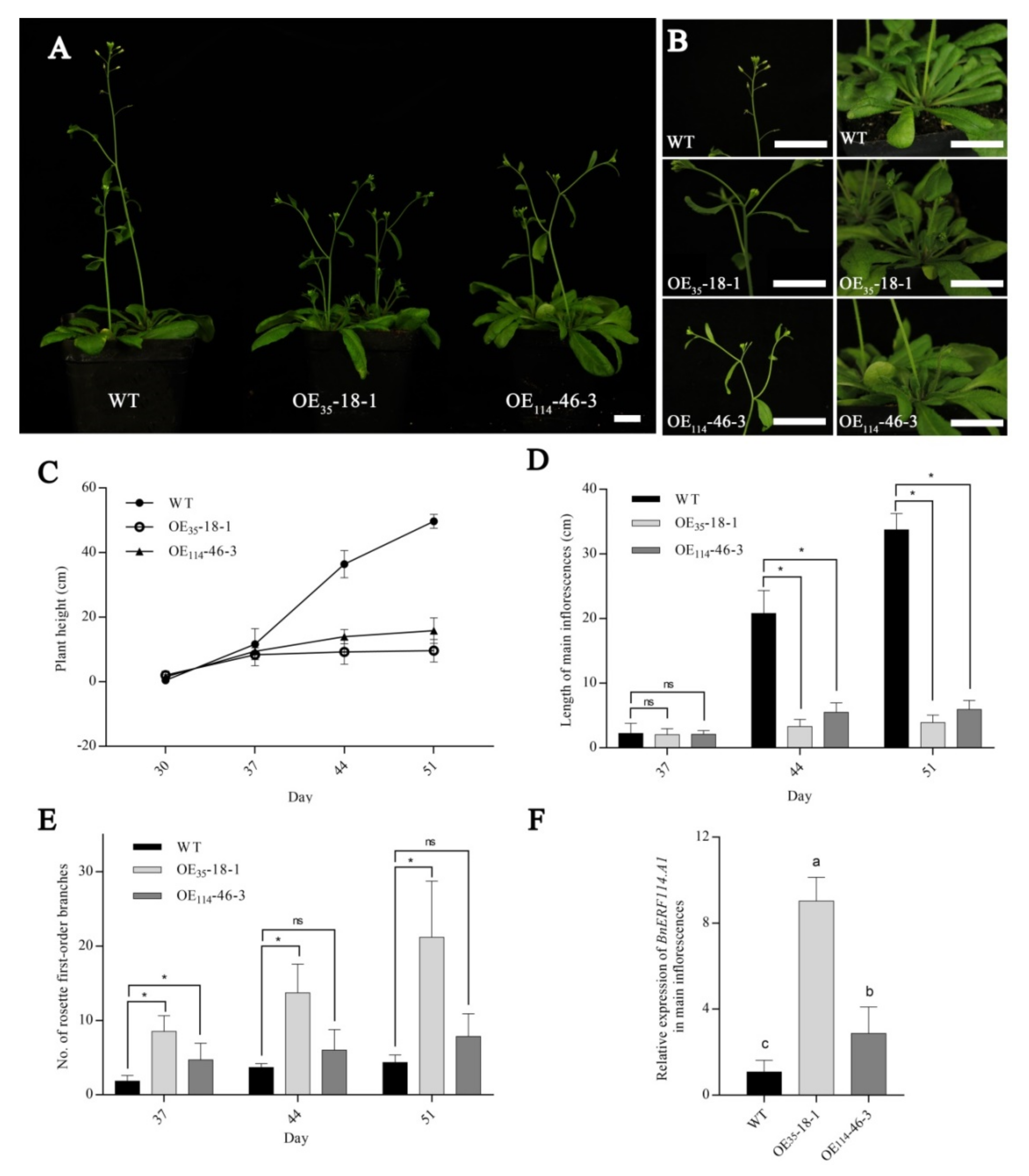 Ijms 23 02210 g005 550