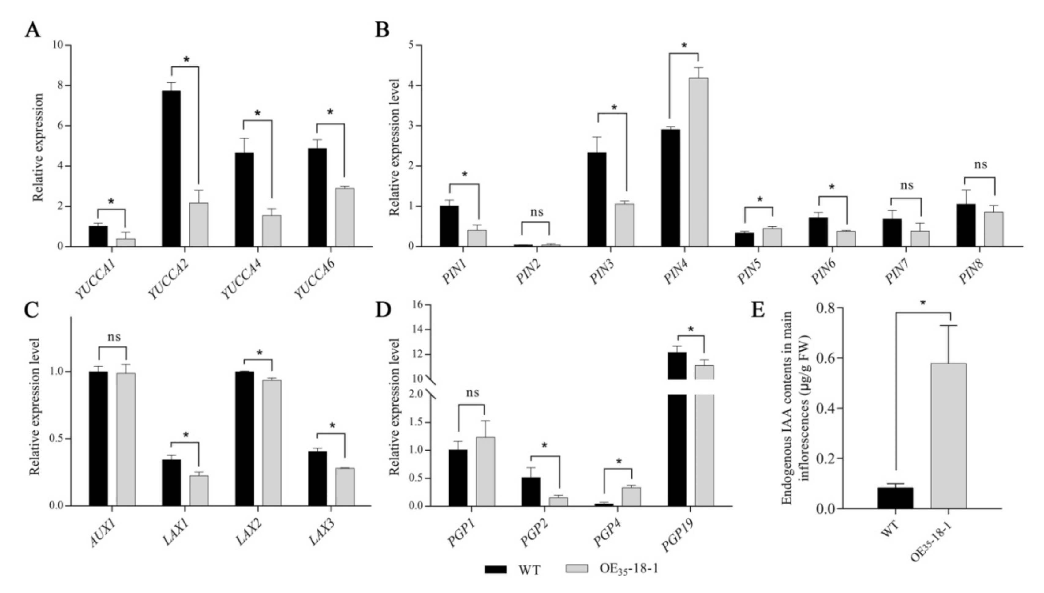 Ijms 23 02210 g007 550