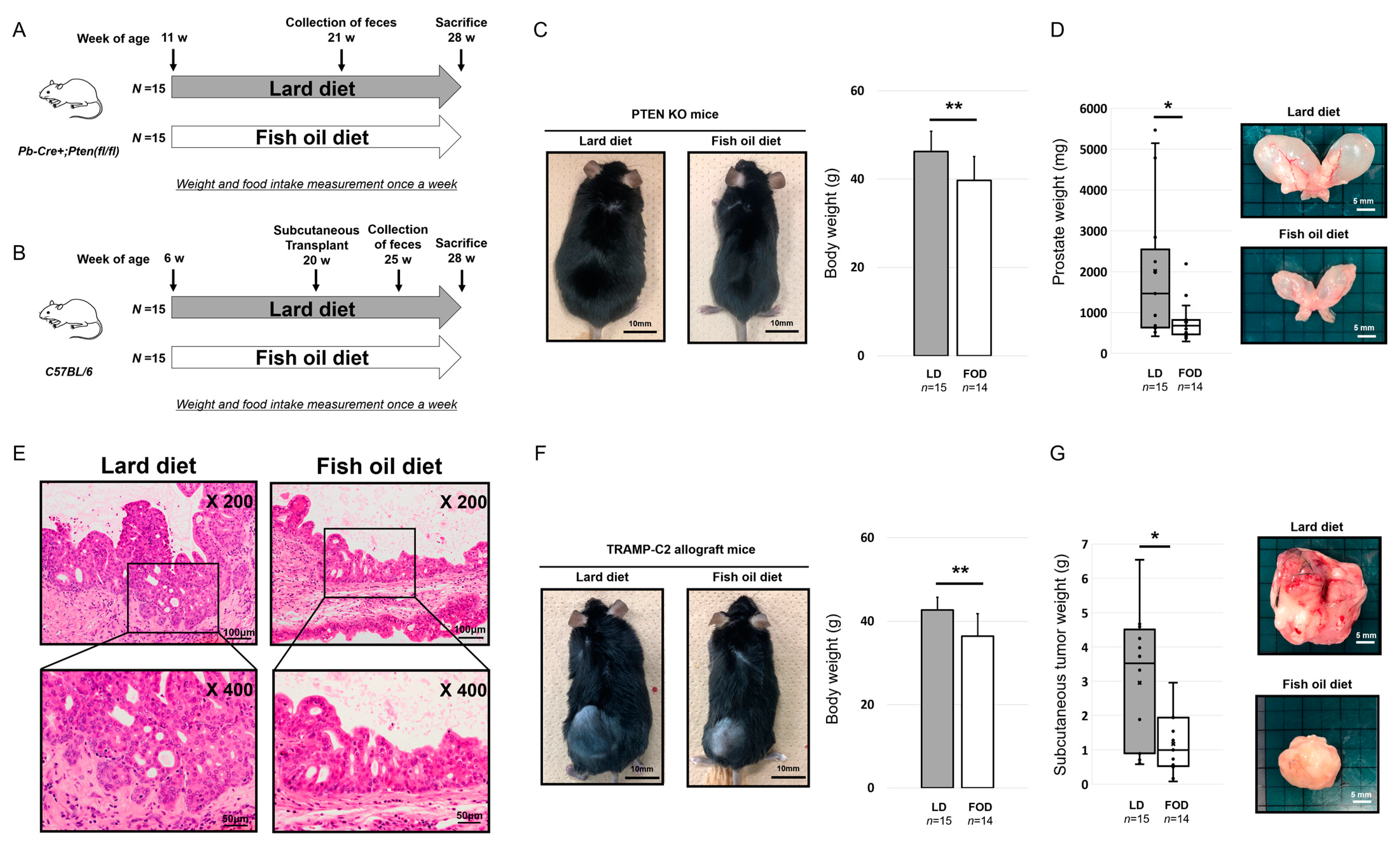 Ijms 23 02214 g001 Ijms 23 02214 g001