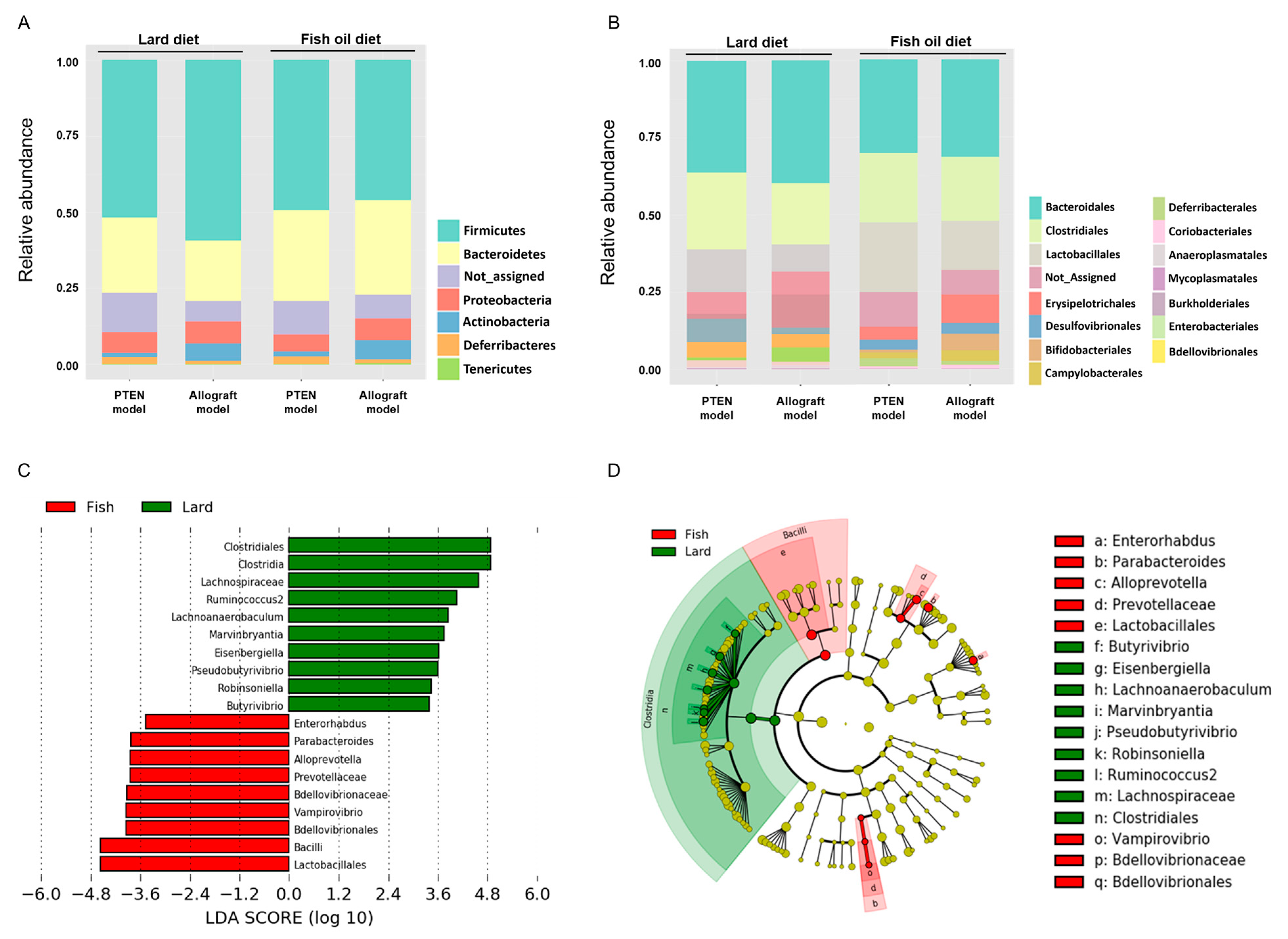 Ijms 23 02214 g003 Ijms 23 02214 g003