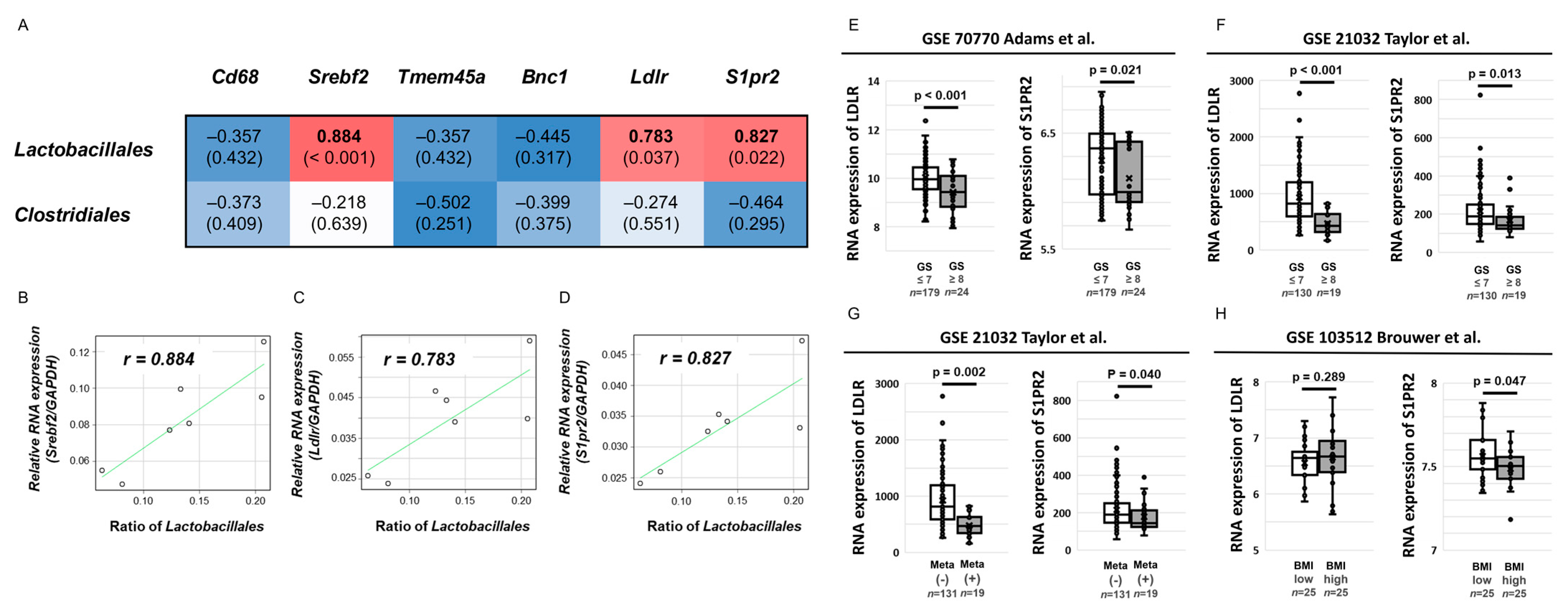 Ijms 23 02214 g005 Ijms 23 02214 g005