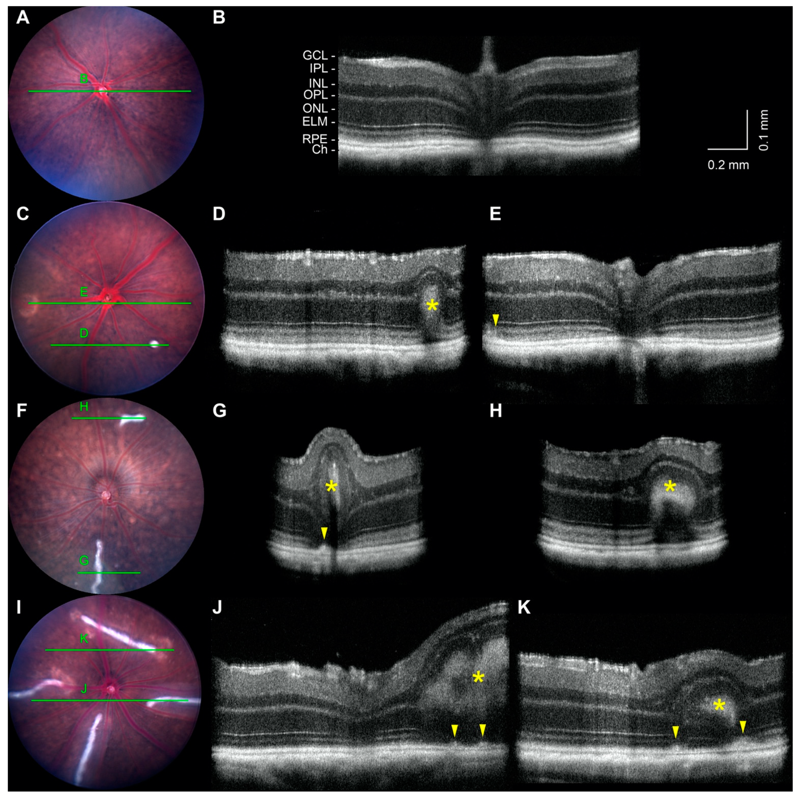 Ijms 23 02220 g003 Ijms 23 02220 g003