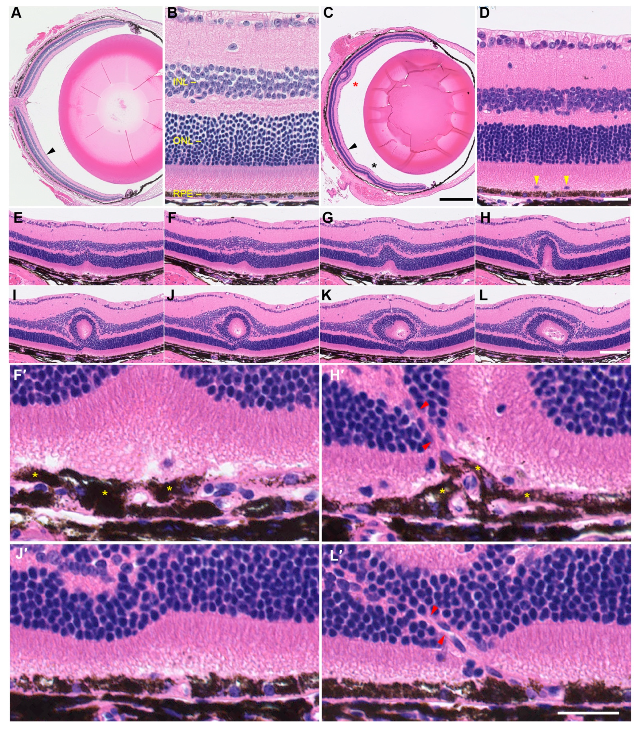 Ijms 23 02220 g005 Ijms 23 02220 g005