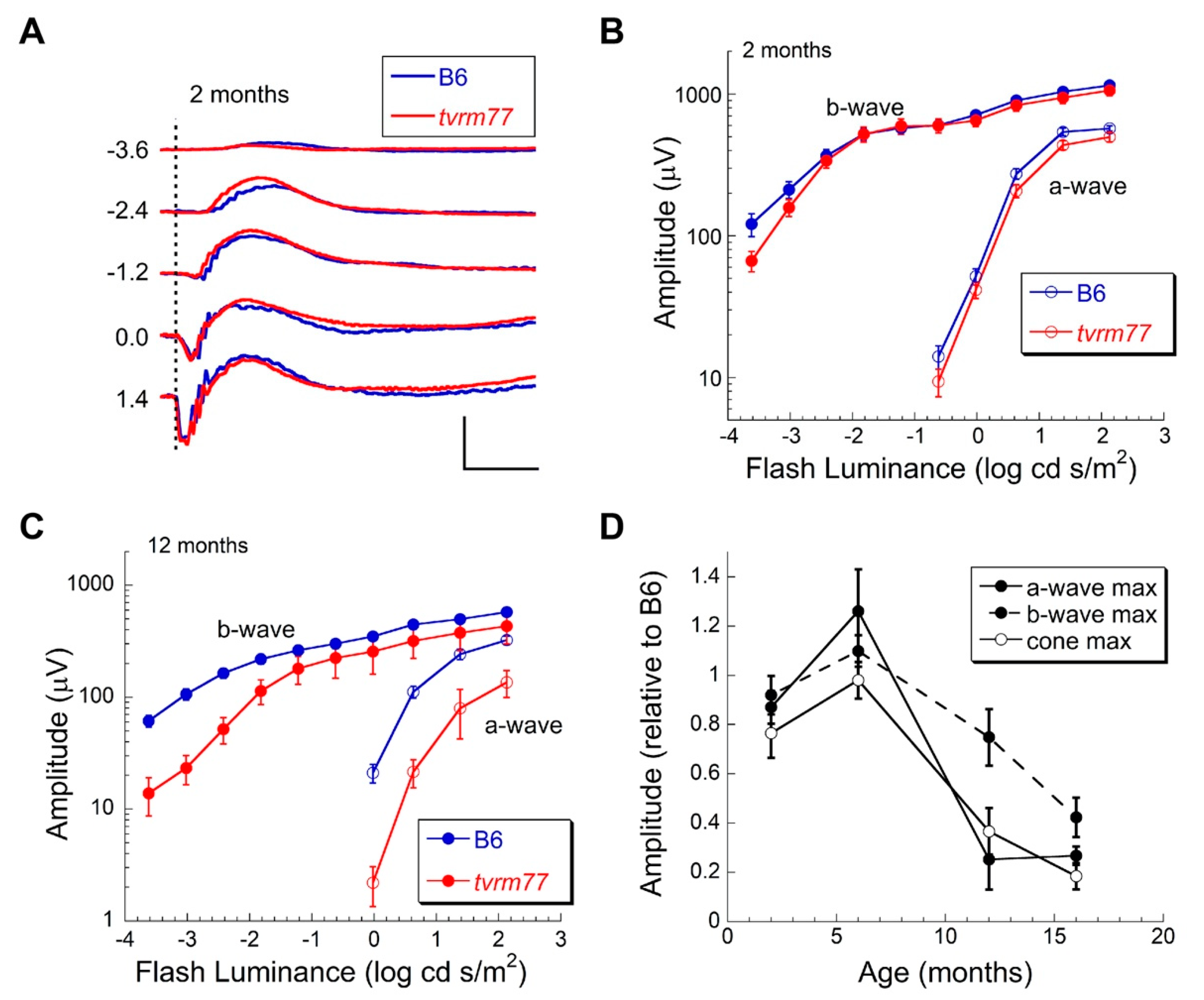 Ijms 23 02220 g007 Ijms 23 02220 g007