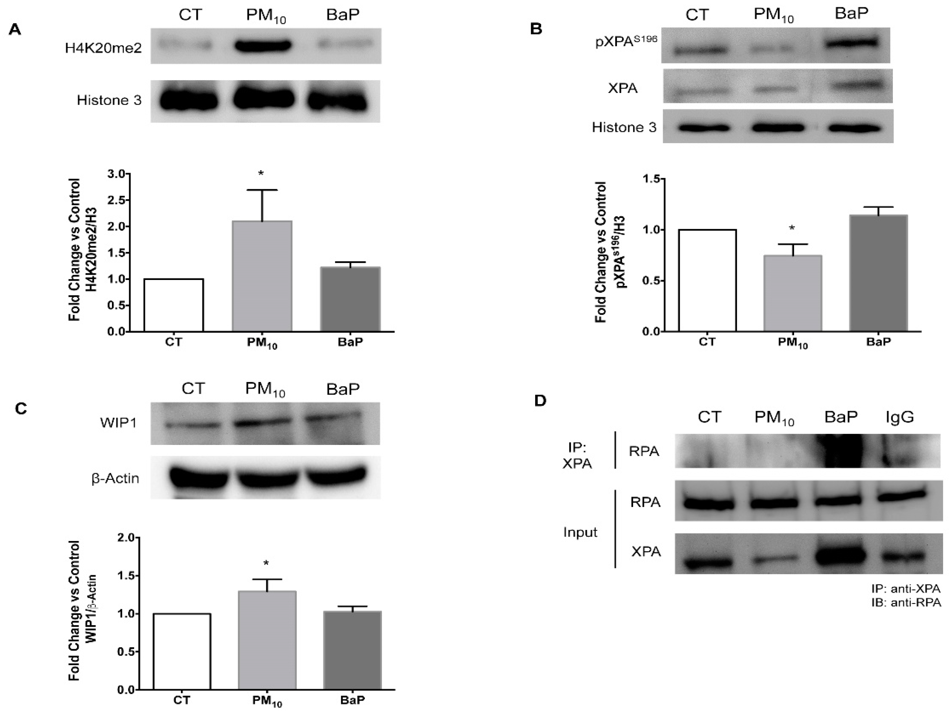 Ijms 23 02224 g003 550