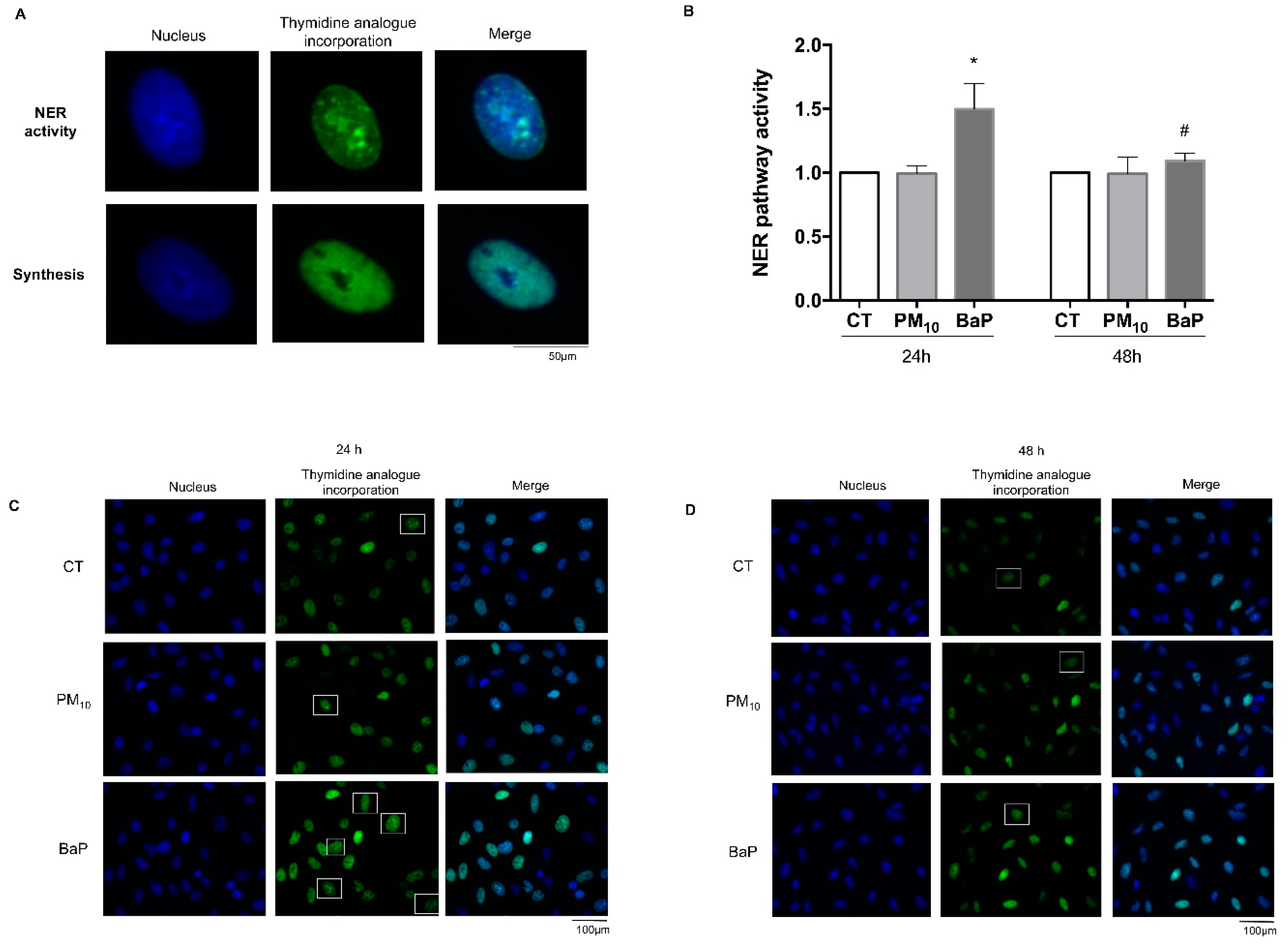 Ijms 23 02224 g004 550
