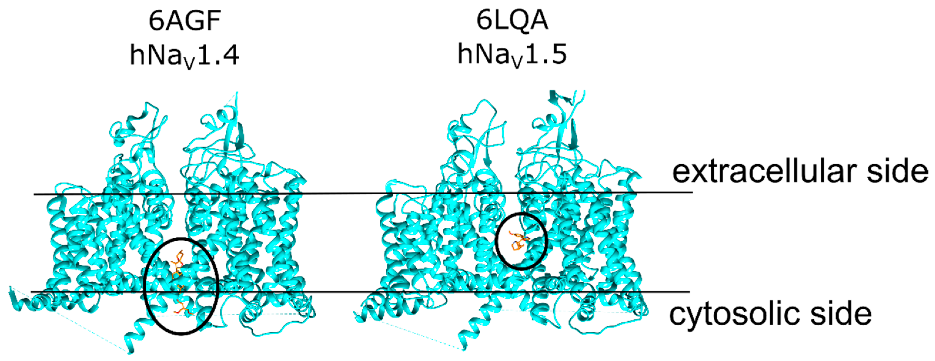 Ijms 23 02225 g002 550