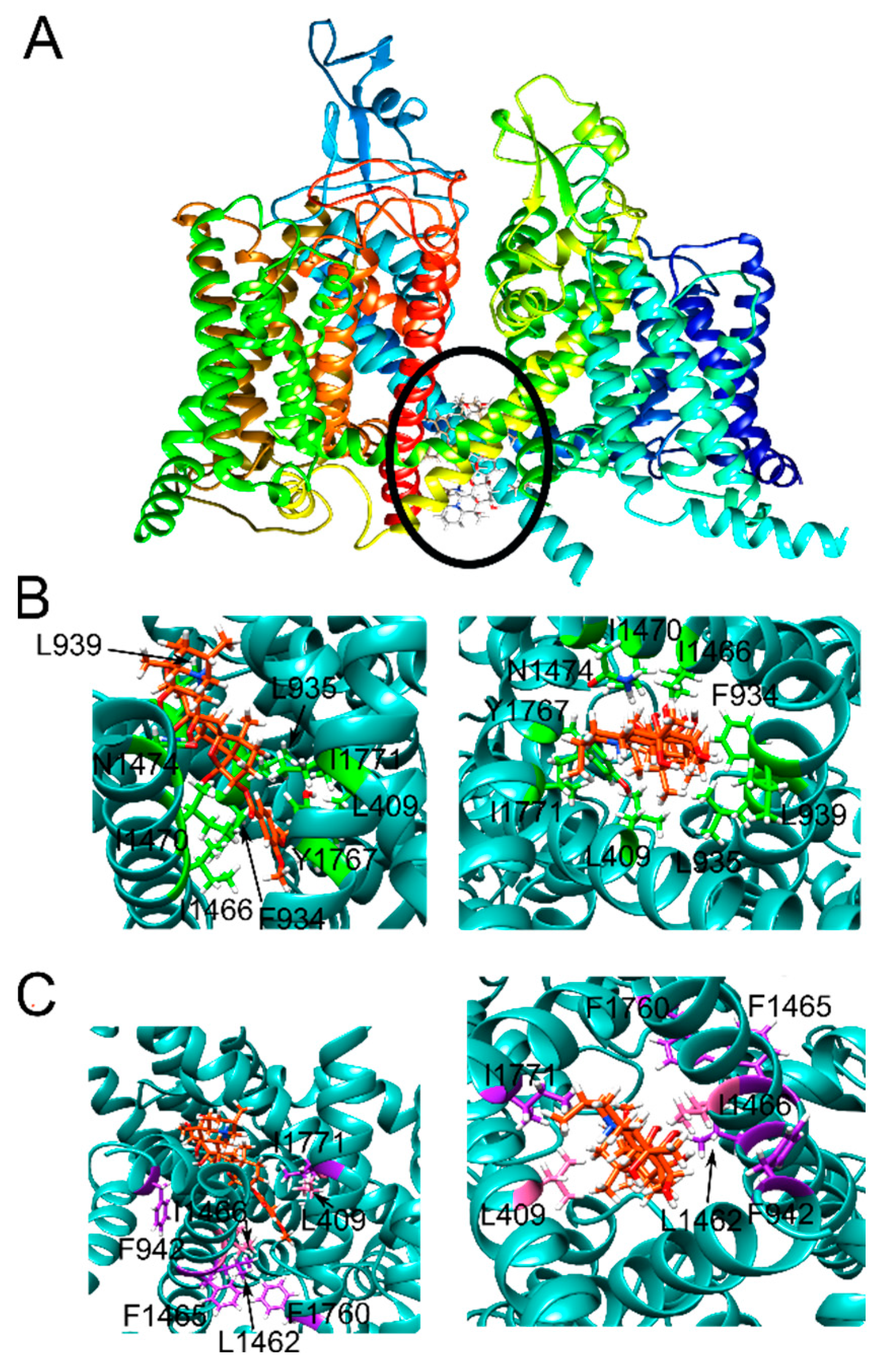 Ijms 23 02225 g005 550