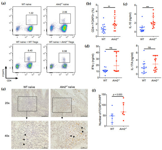 Absent in Melanoma 2 (AIM2) Regulates the Stability of