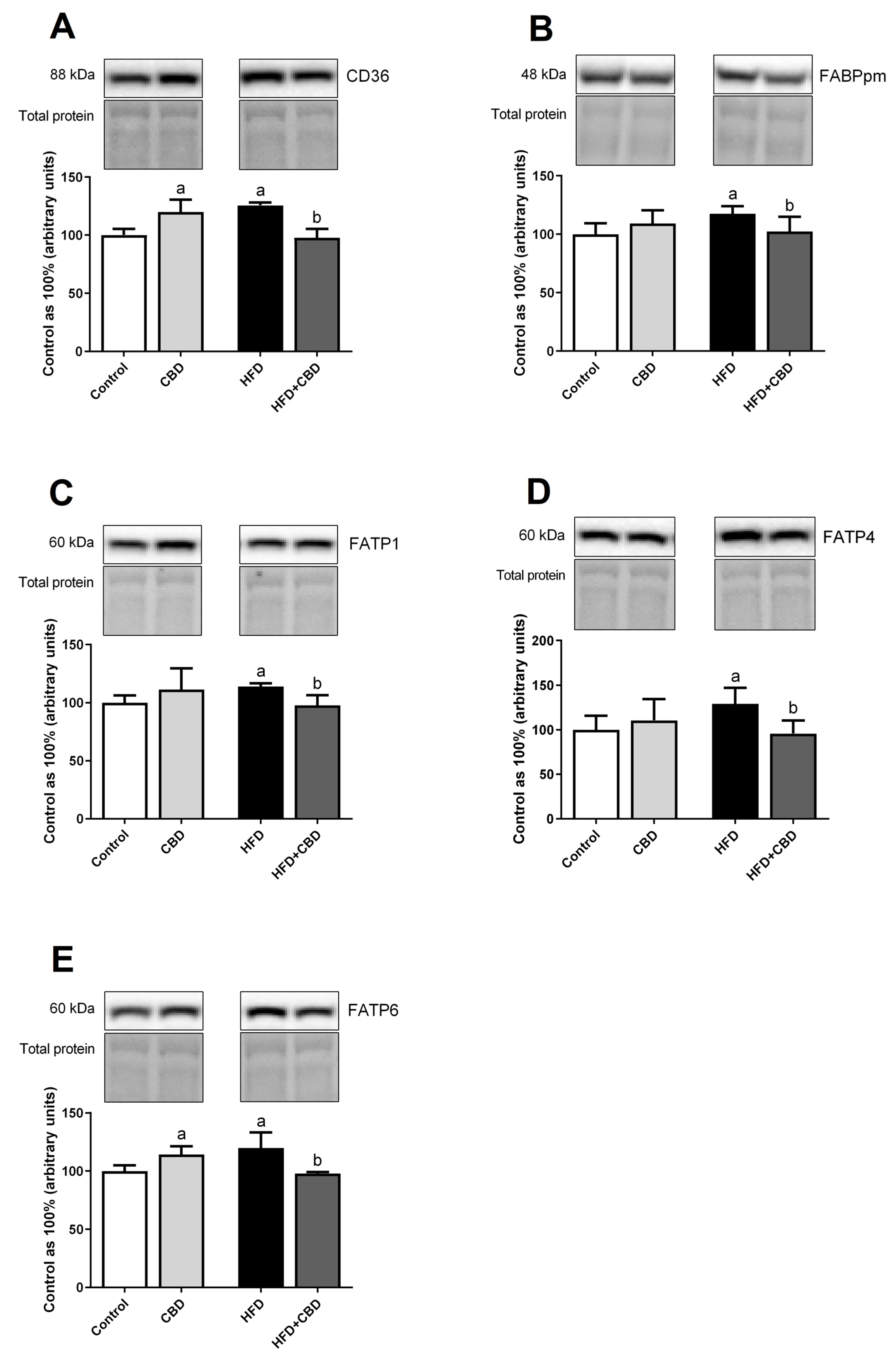 Ijms 23 02232 g003 550