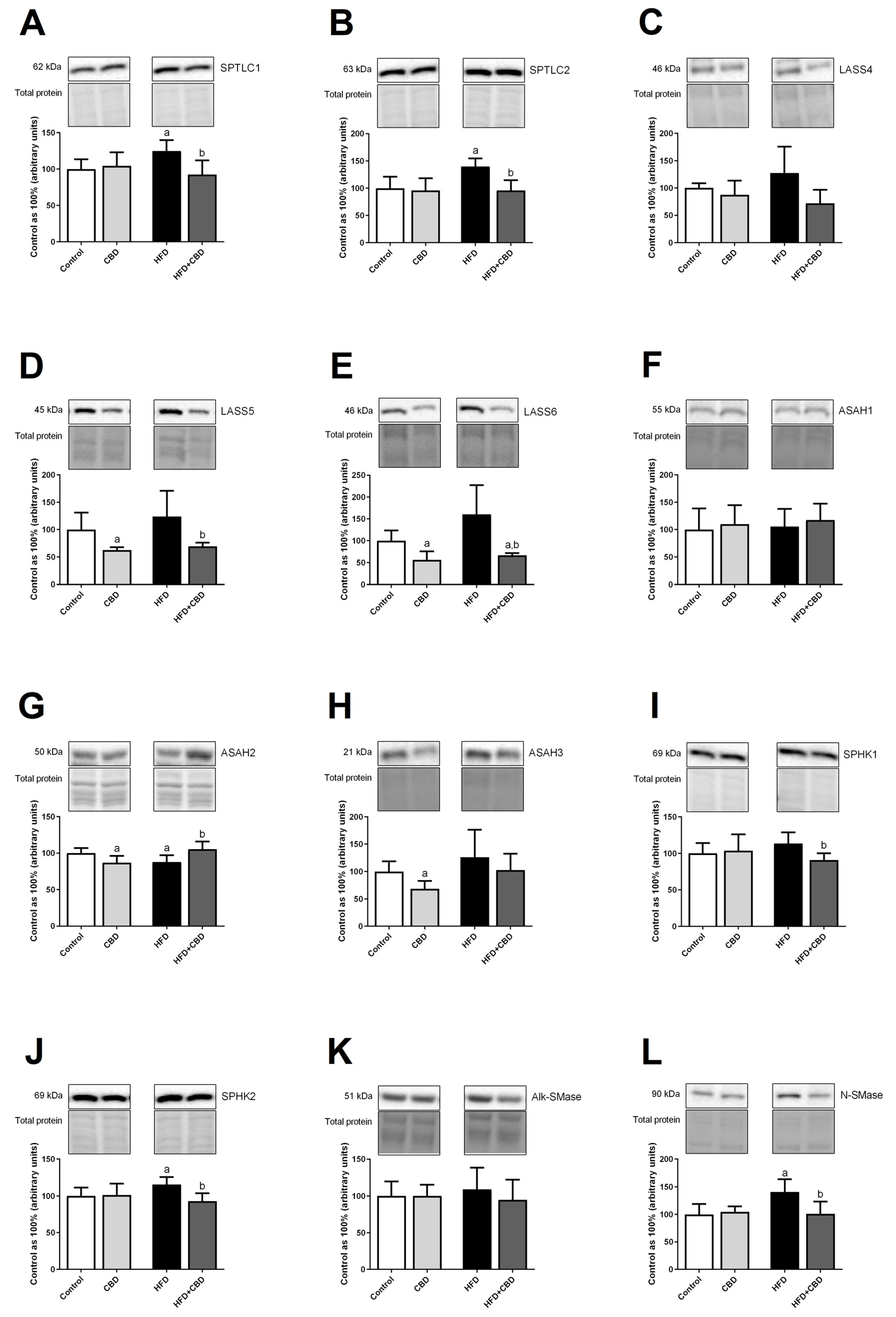 Ijms 23 02232 g005 550