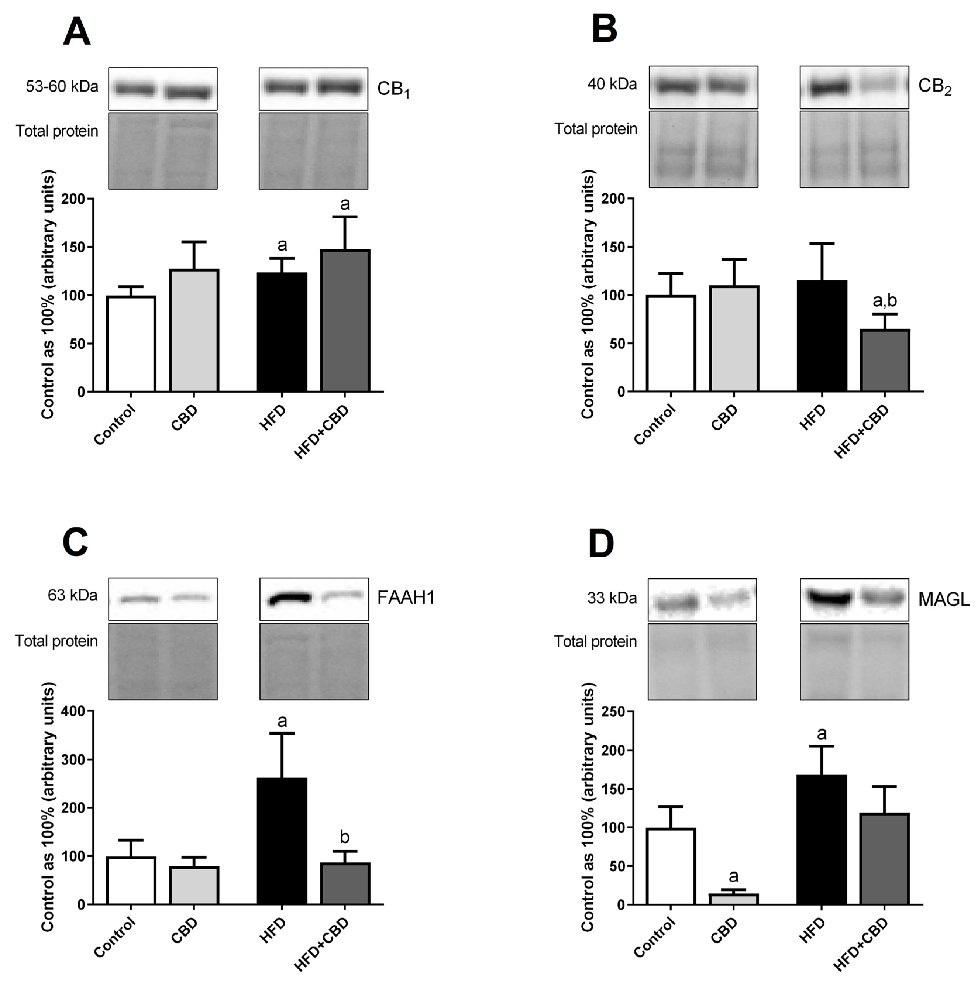 Ijms 23 02232 g006 550