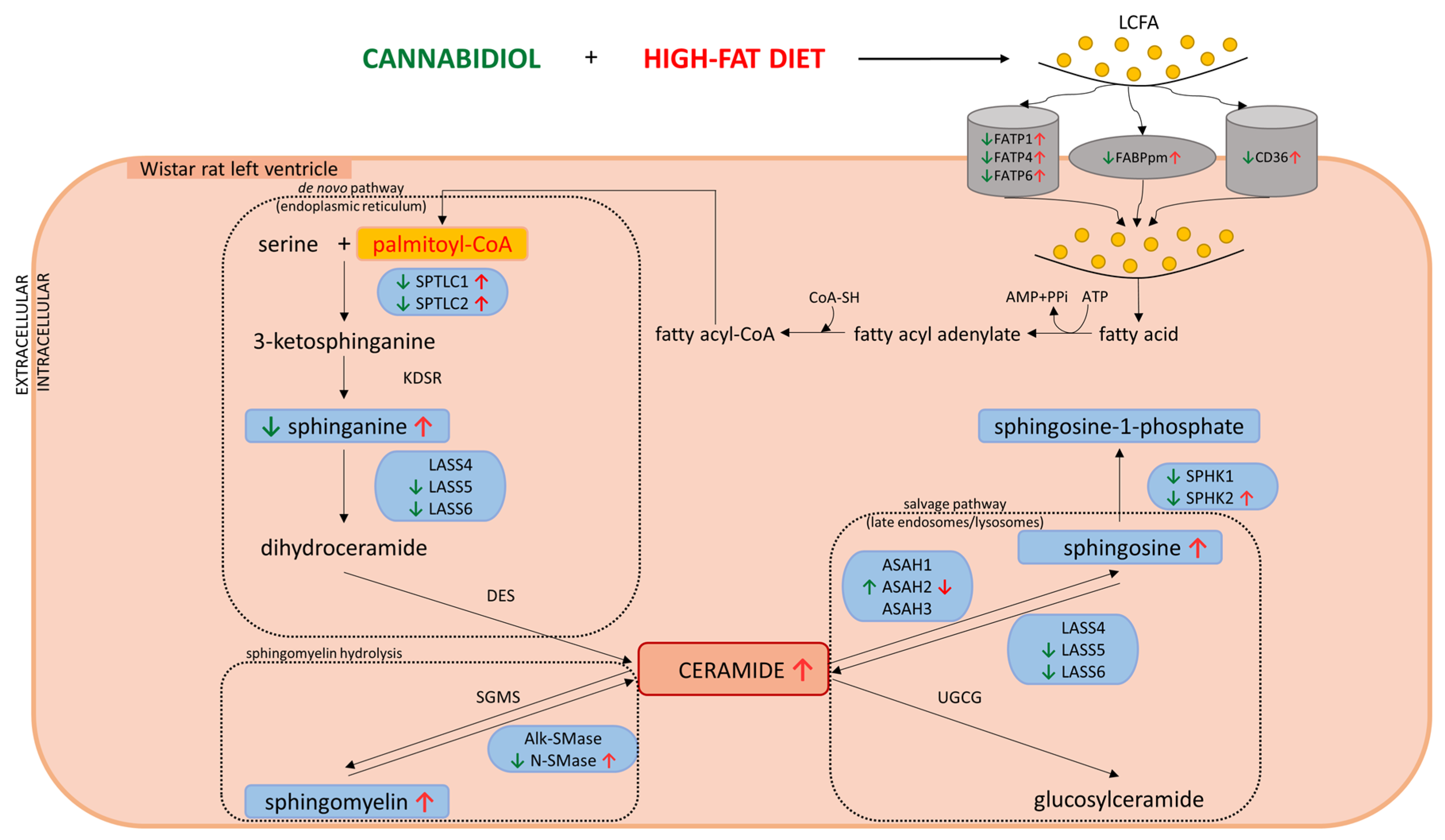 Ijms 23 02232 sch001 550
