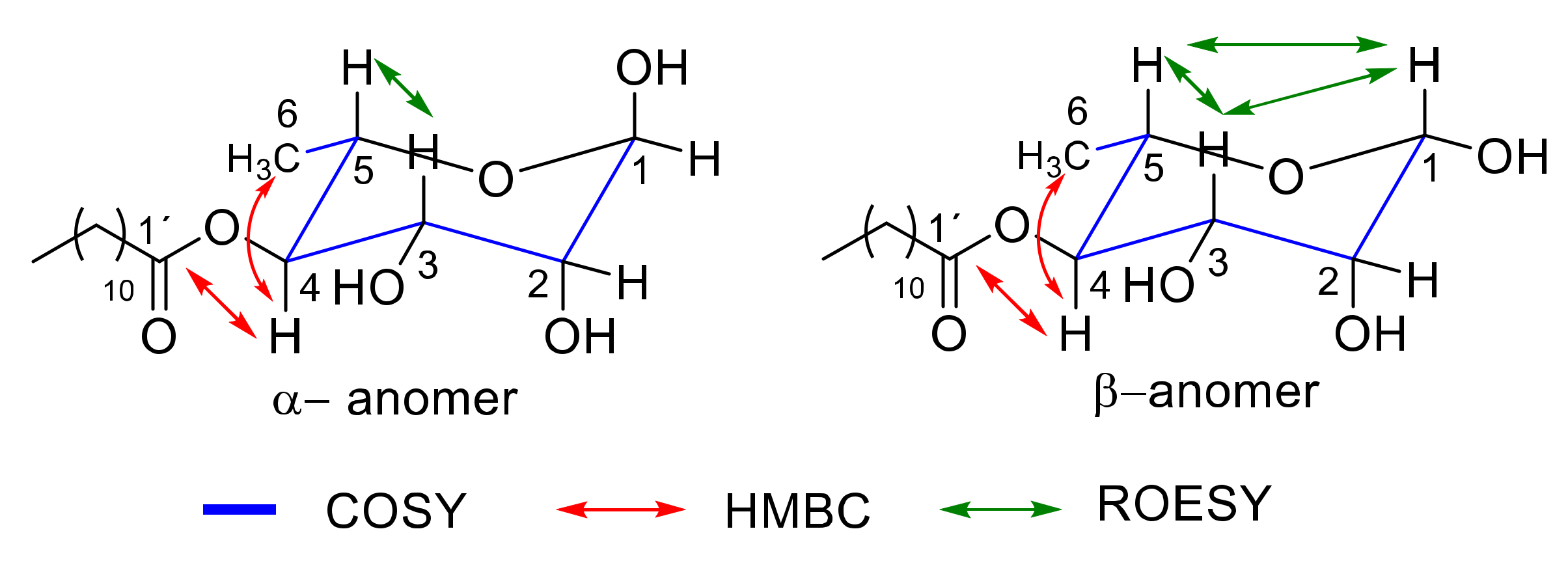 Ijms 23 02239 g002 550