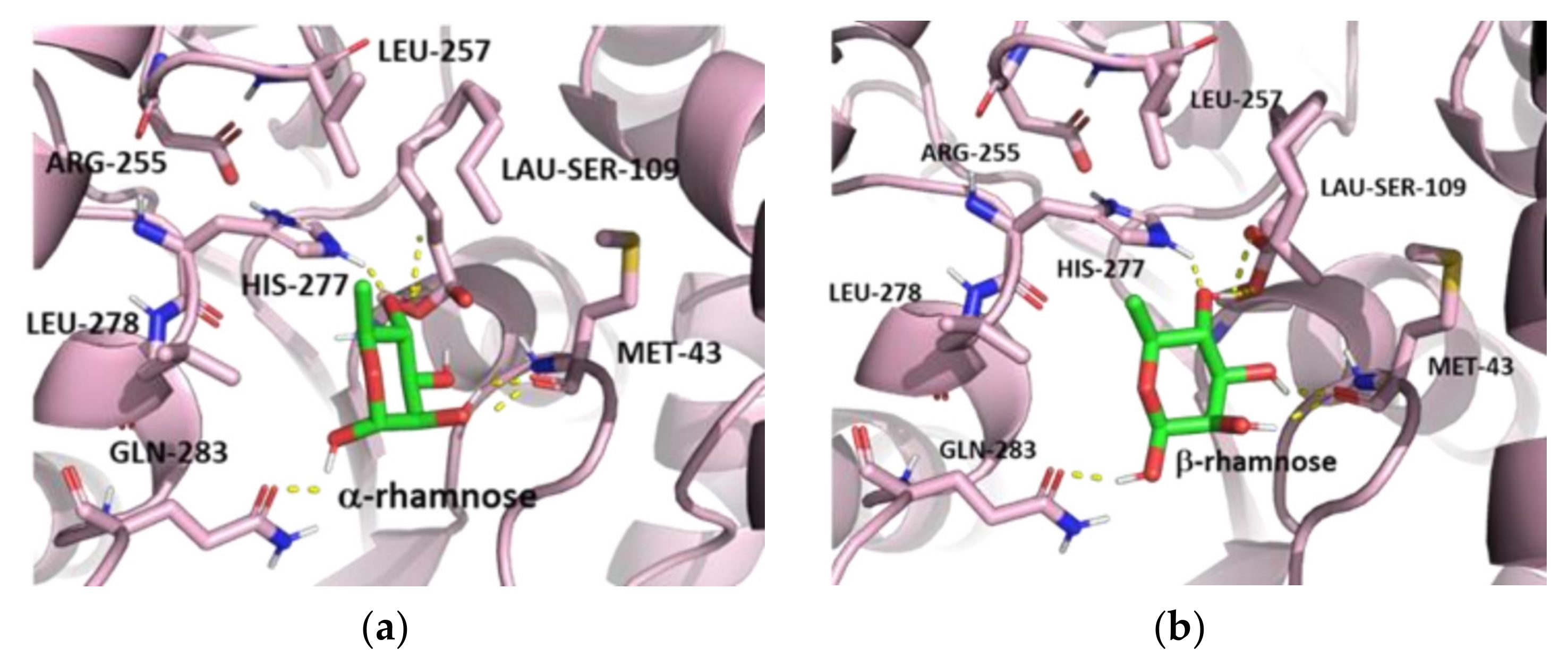 Ijms 23 02239 g007 550