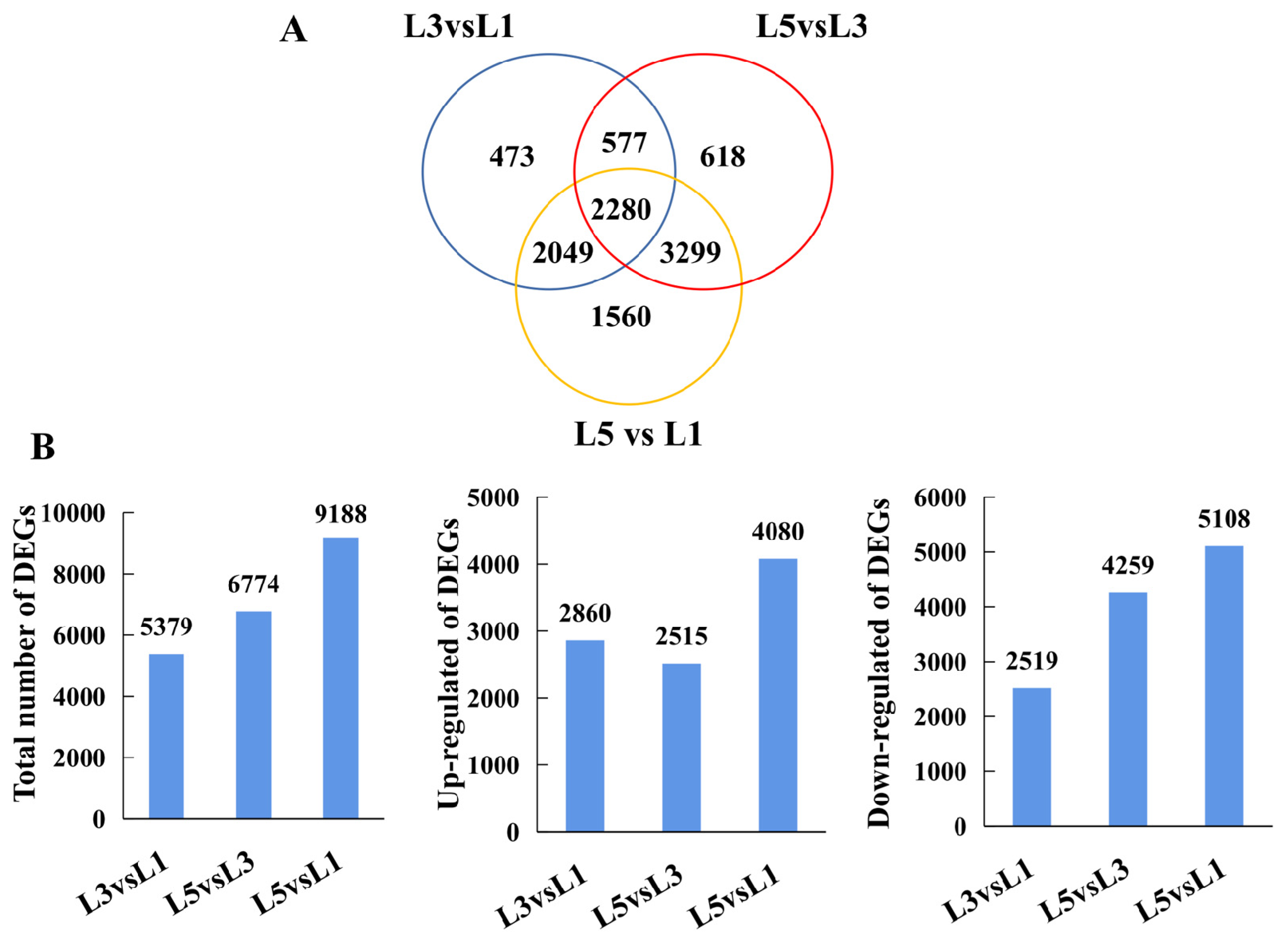 Ijms 23 02243 g004 Ijms 23 02243 g004