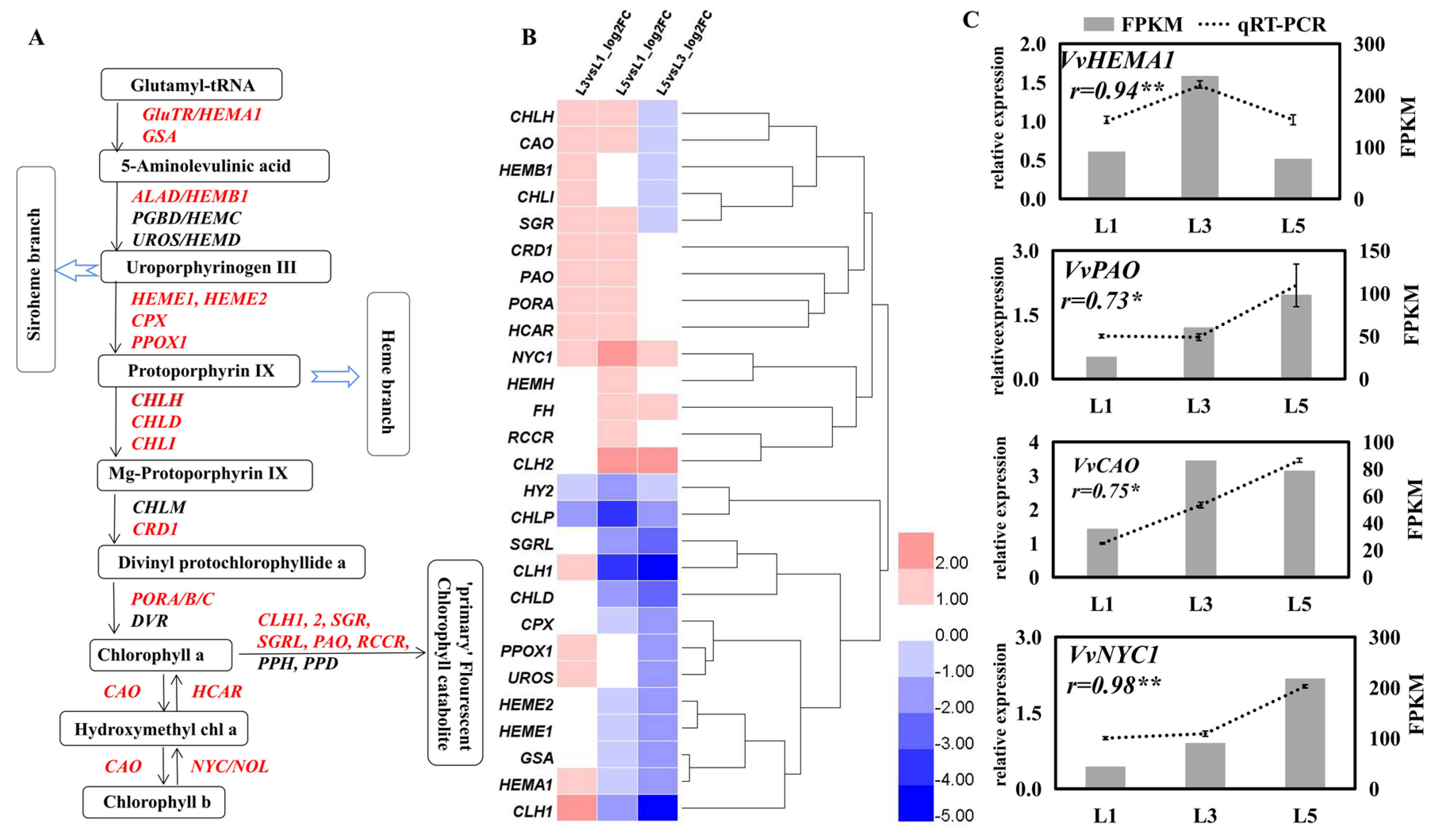Ijms 23 02243 g005 Ijms 23 02243 g005