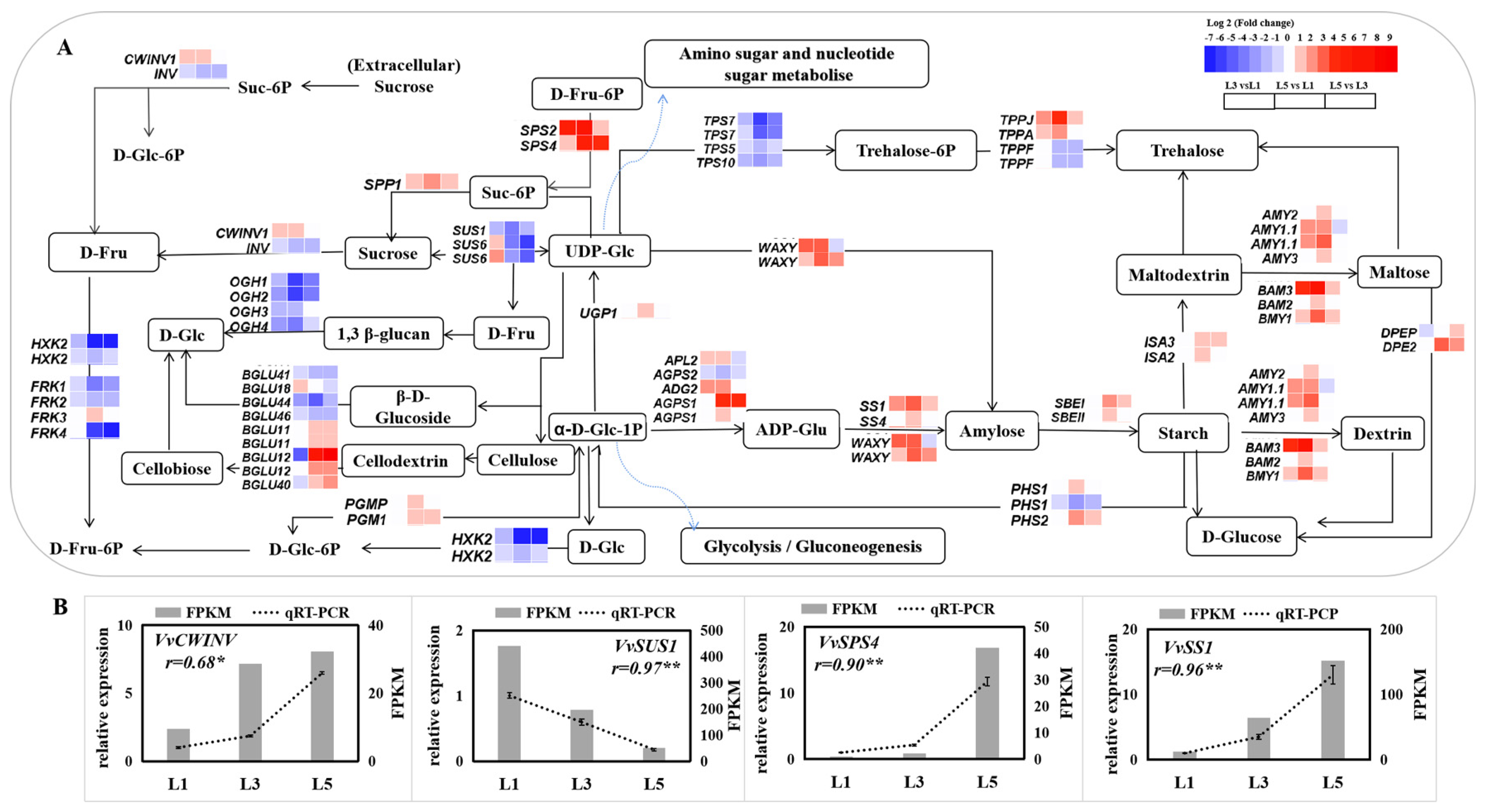 Ijms 23 02243 g007 Ijms 23 02243 g007