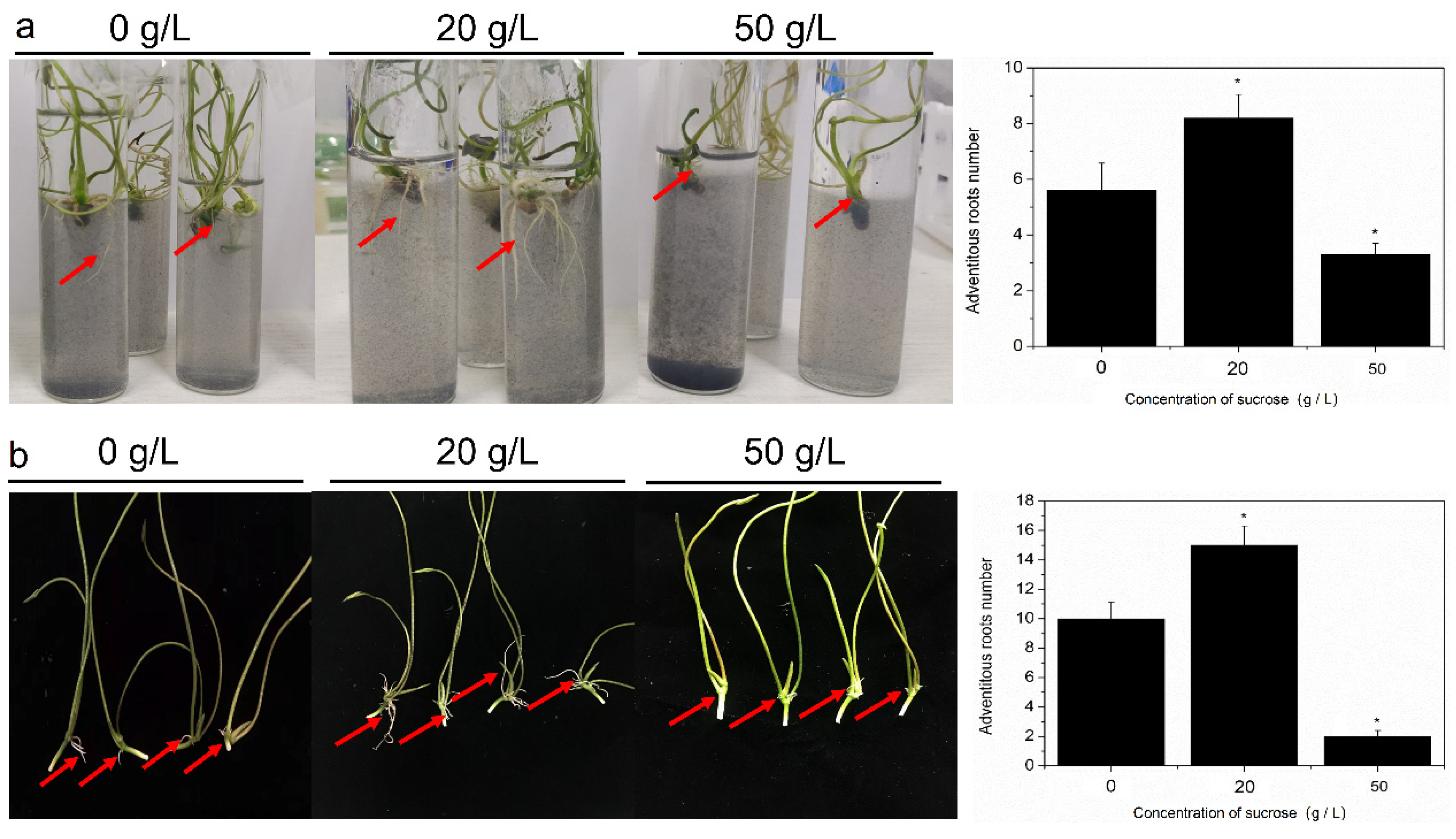 Ijms 23 02250 g001 550