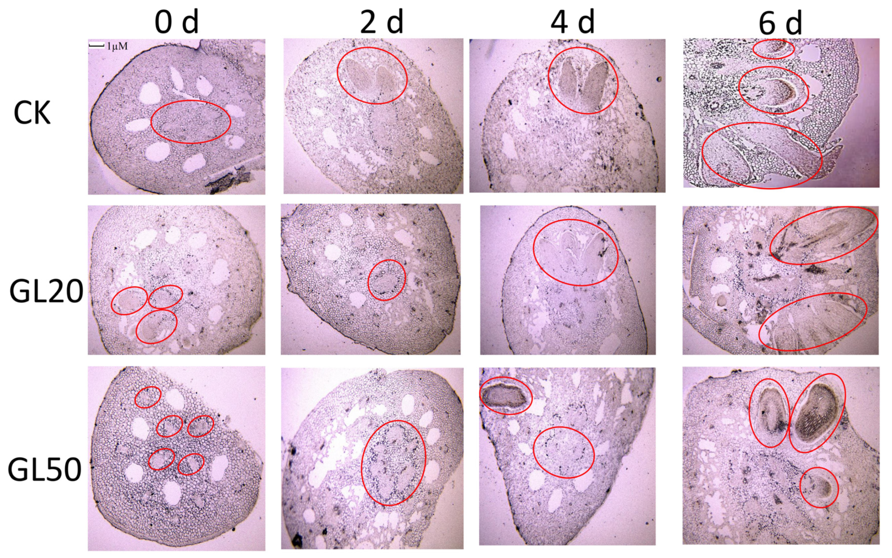 Ijms 23 02250 g002 550