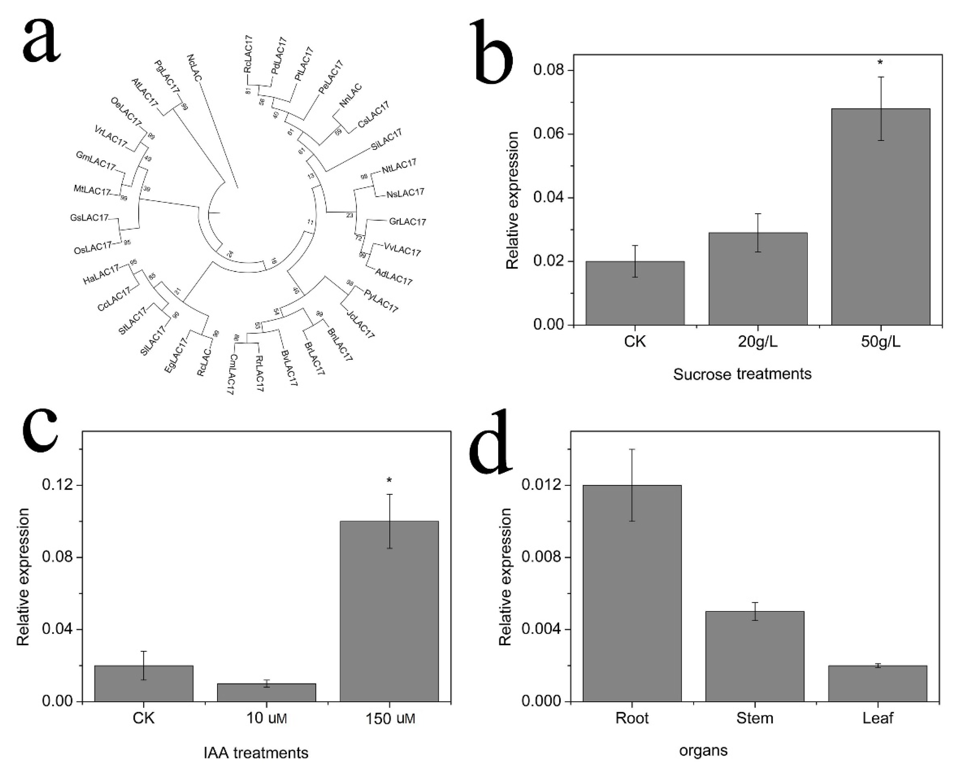 Ijms 23 02250 g005 550