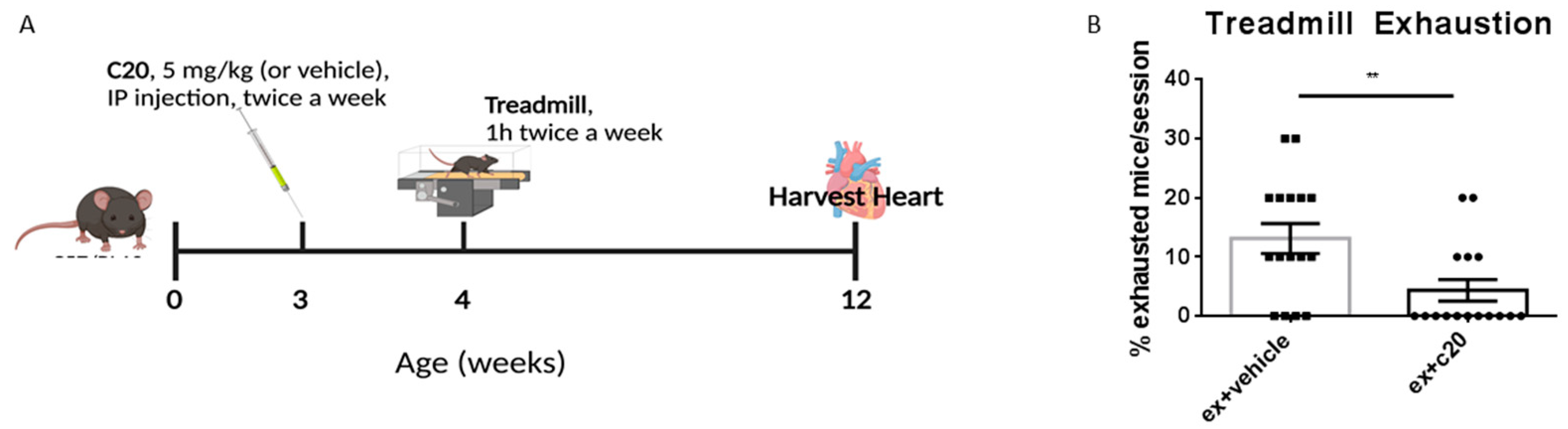 Ijms 23 02256 g001 550