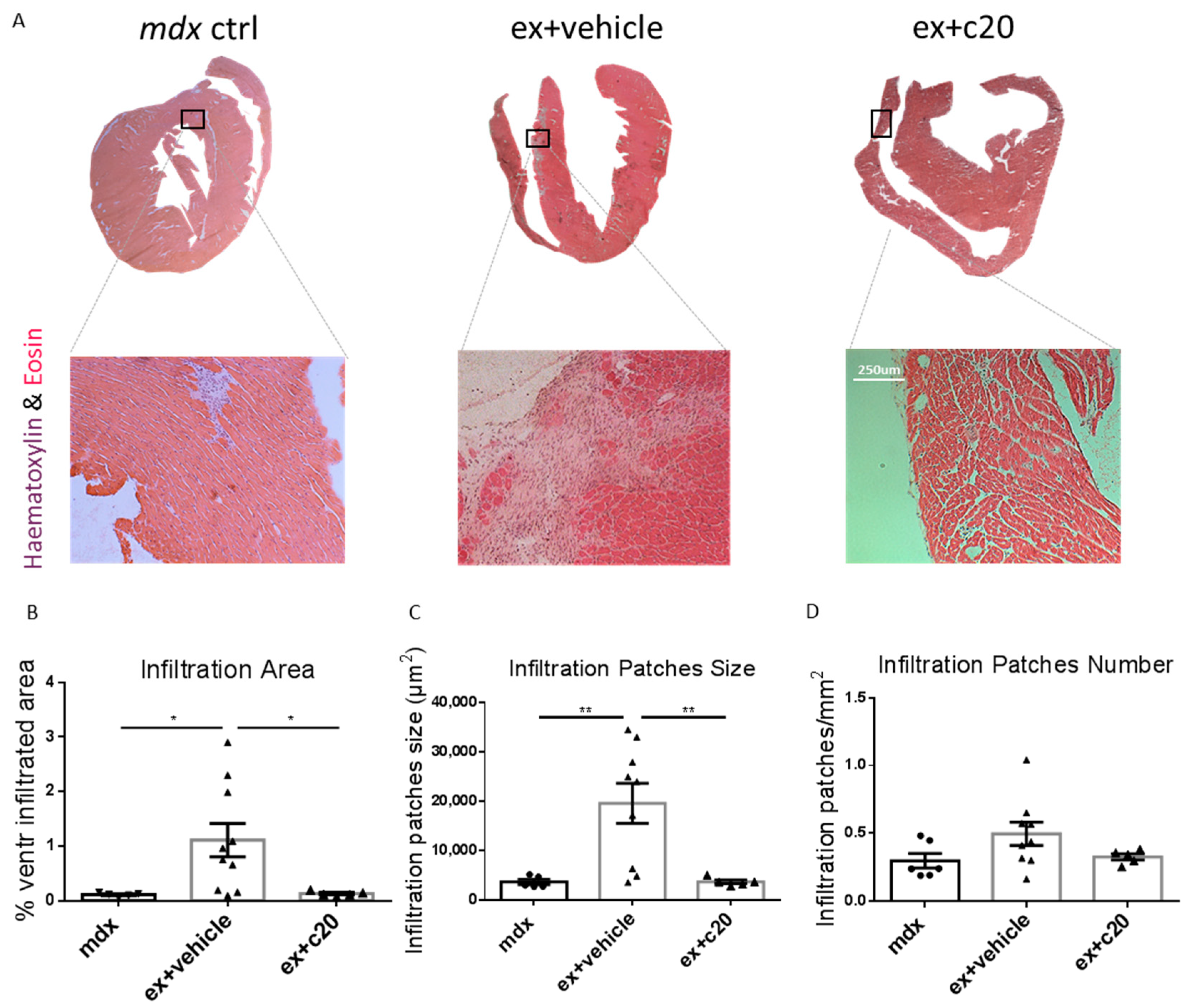 Ijms 23 02256 g003 550