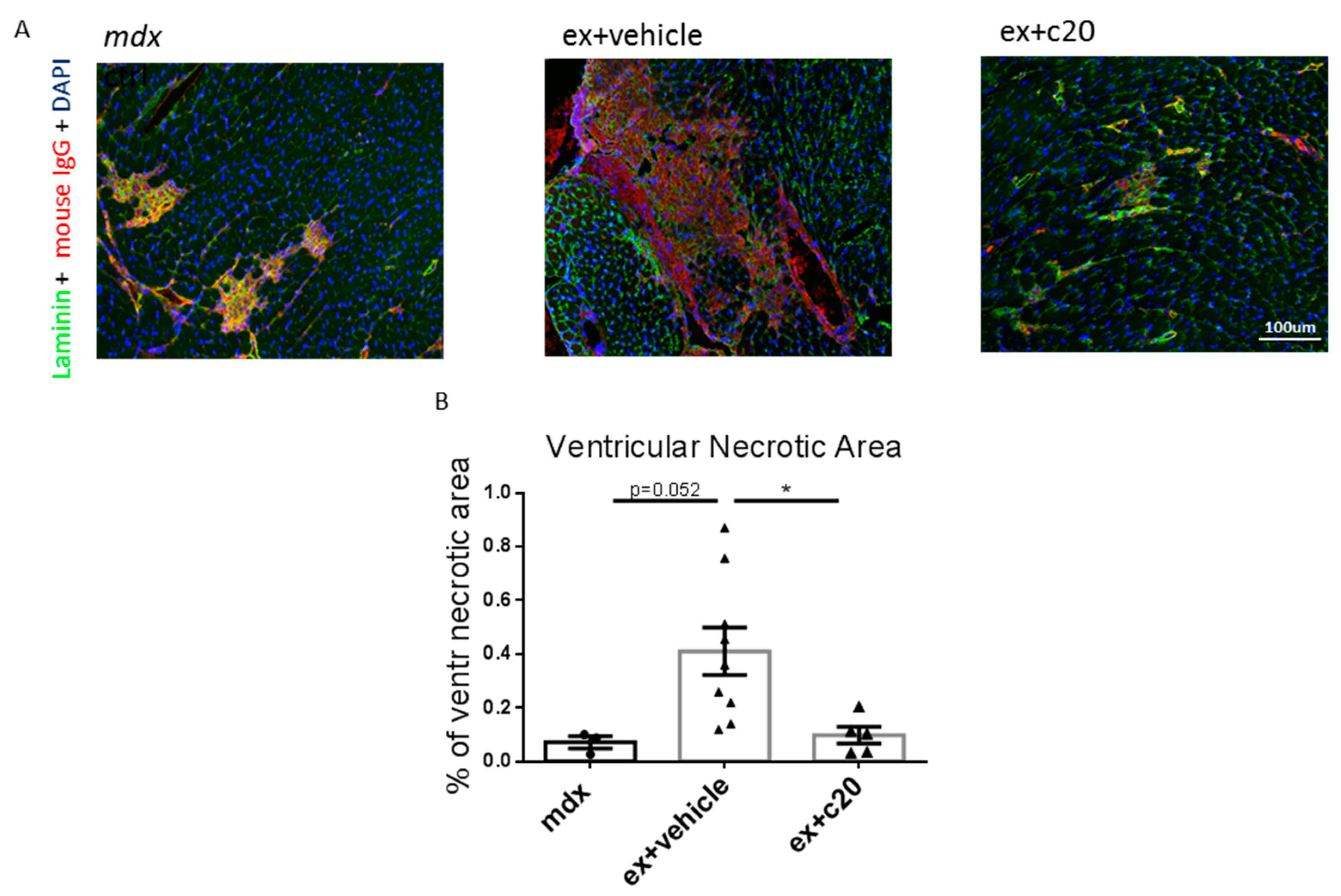 Ijms 23 02256 g004 550