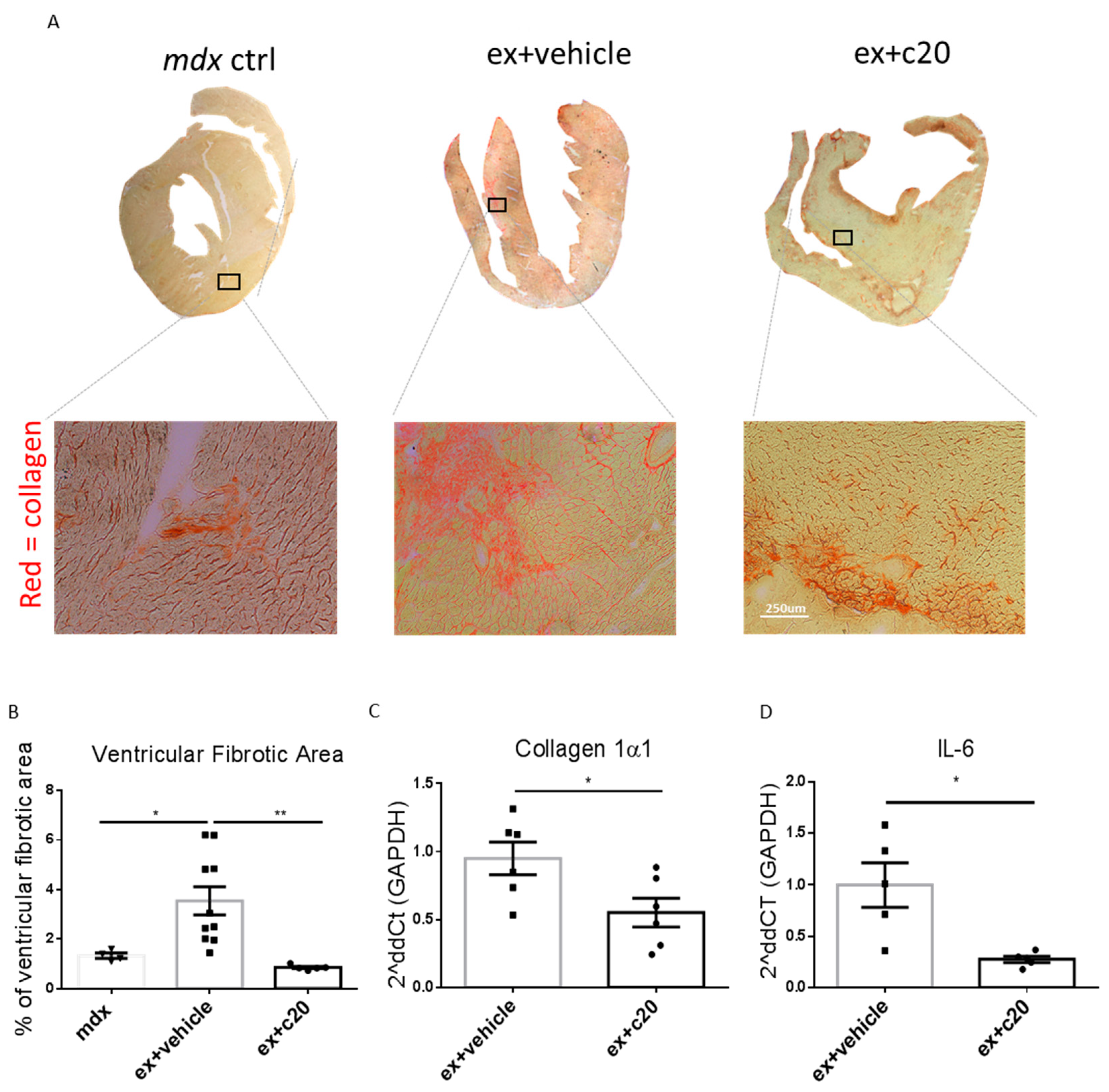 Ijms 23 02256 g005 550