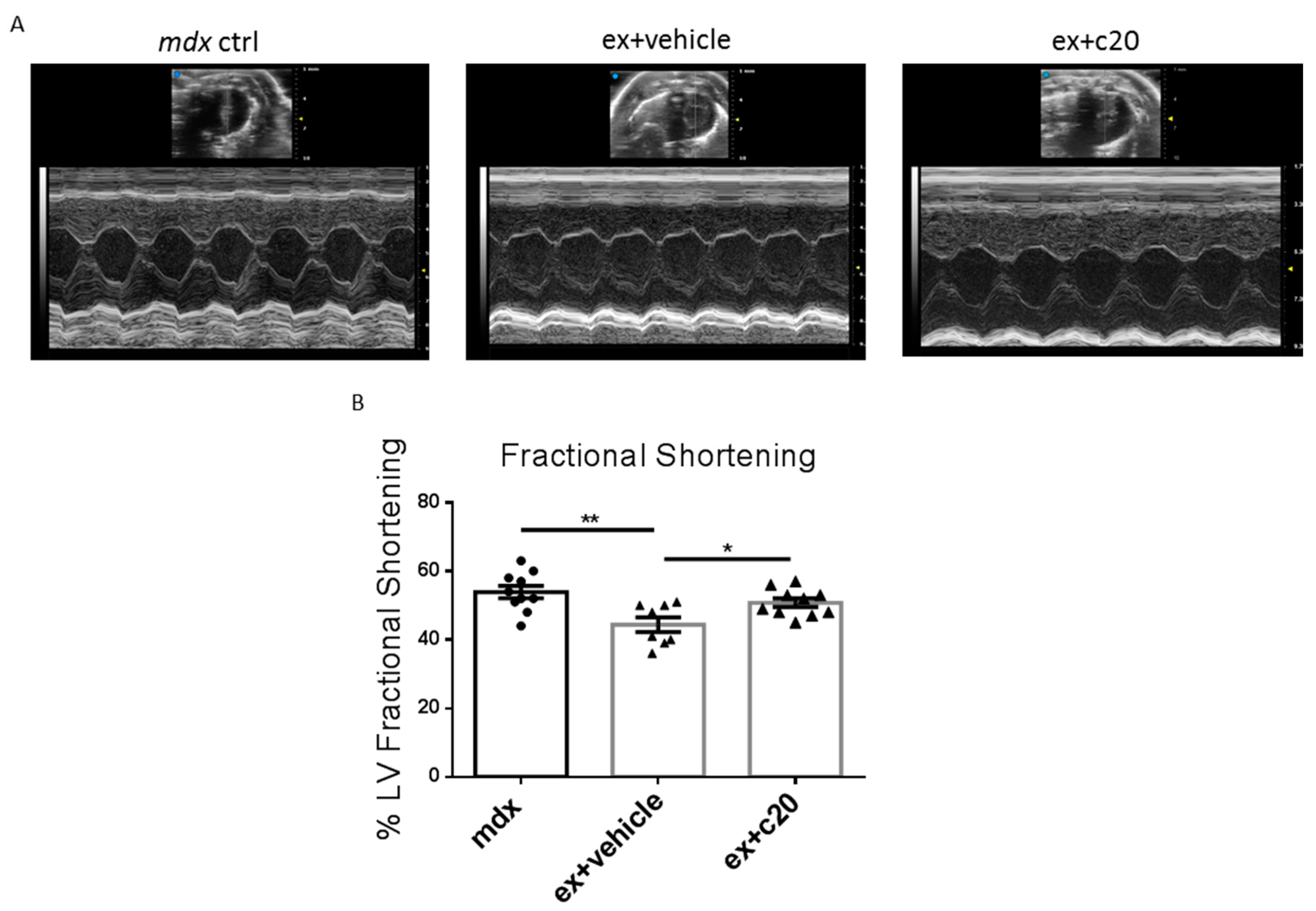 Ijms 23 02256 g006 550